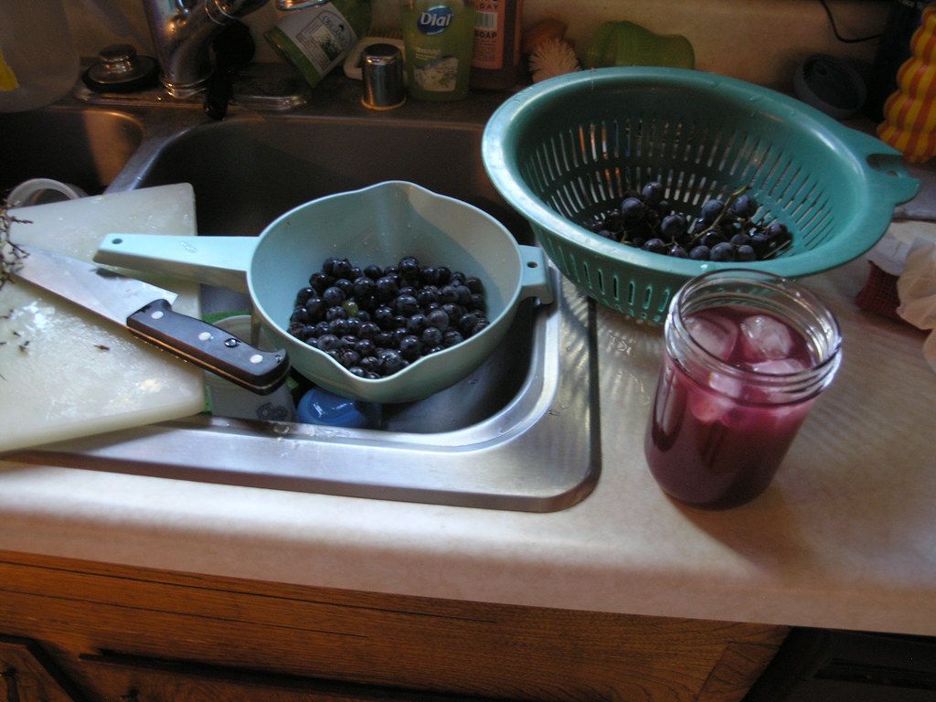 1024x768 making more grape juice. scored some