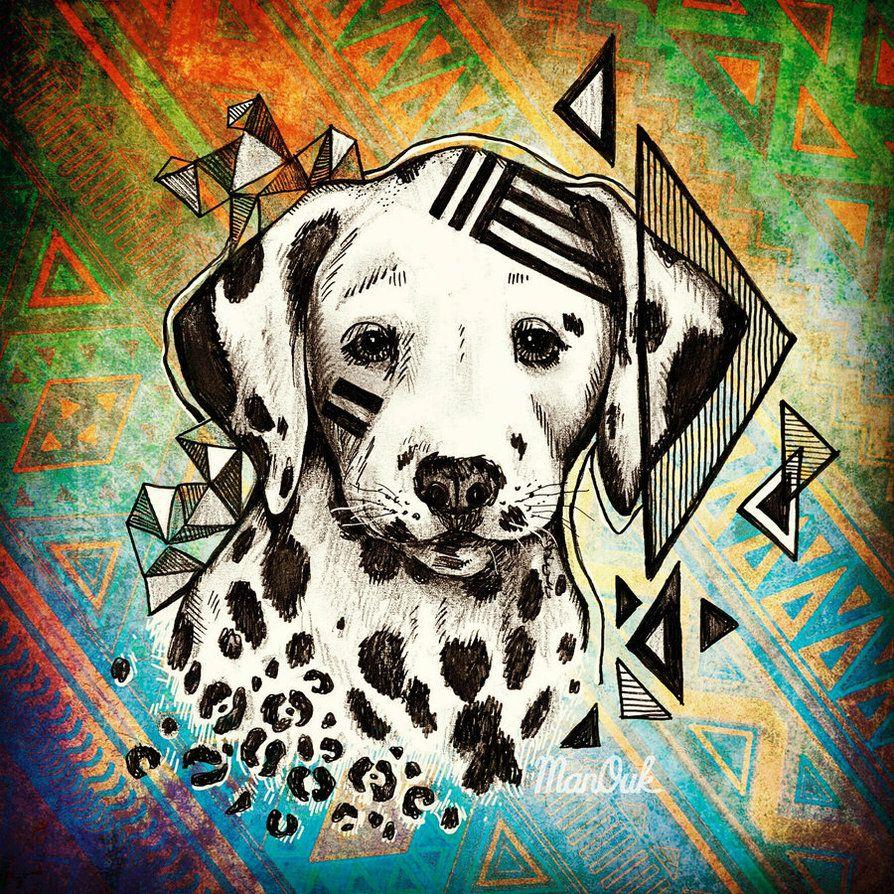 894x894 Hipster Dalmatier