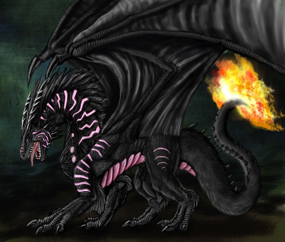 1000x850 Furry dragon by Archir - Fur Affinity