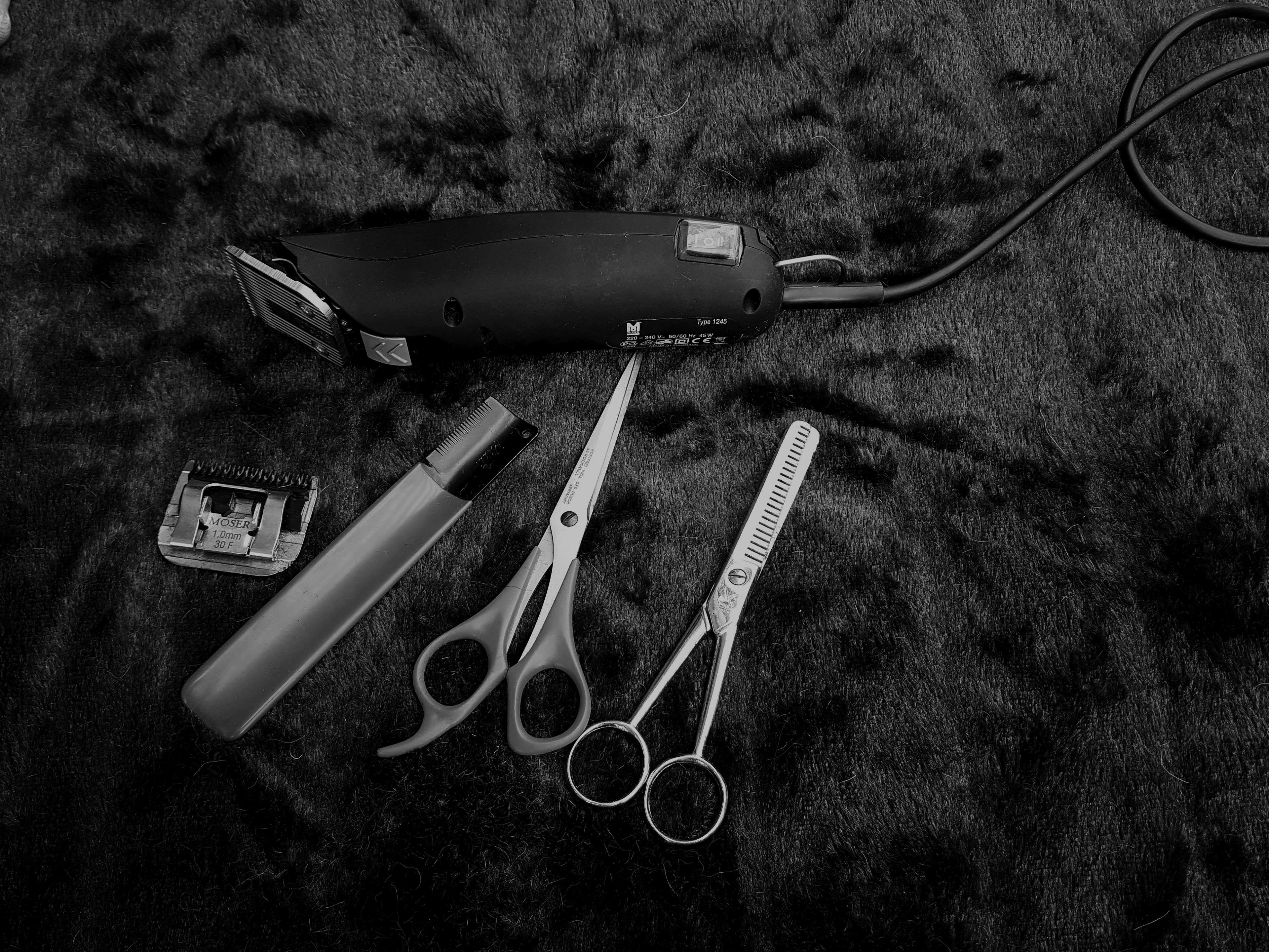 3840x2880 animals, barber, black and white, black wallpaper