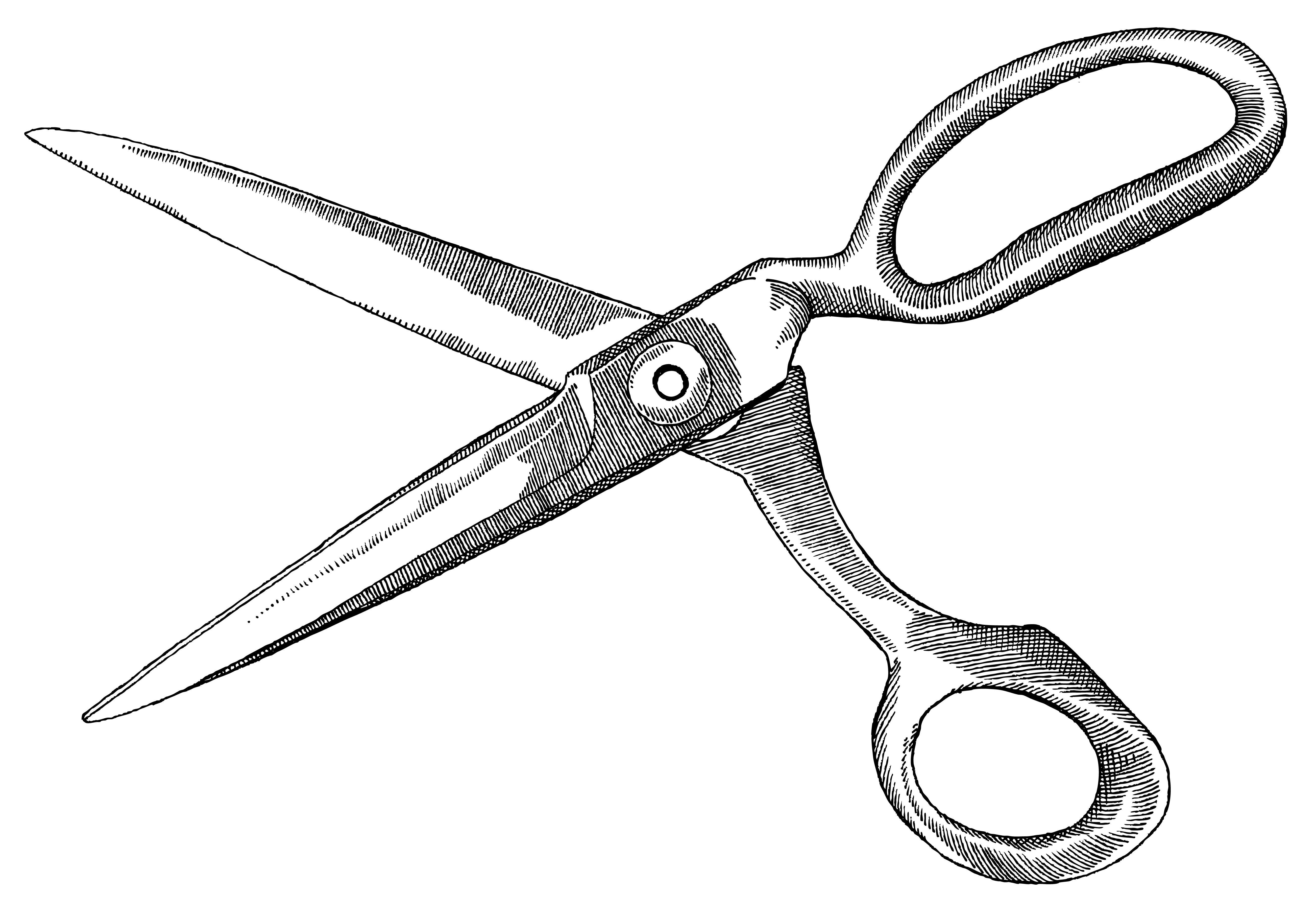 Scissors Wallpapers - Top Free Scissors Backgrounds - WallpaperAccess