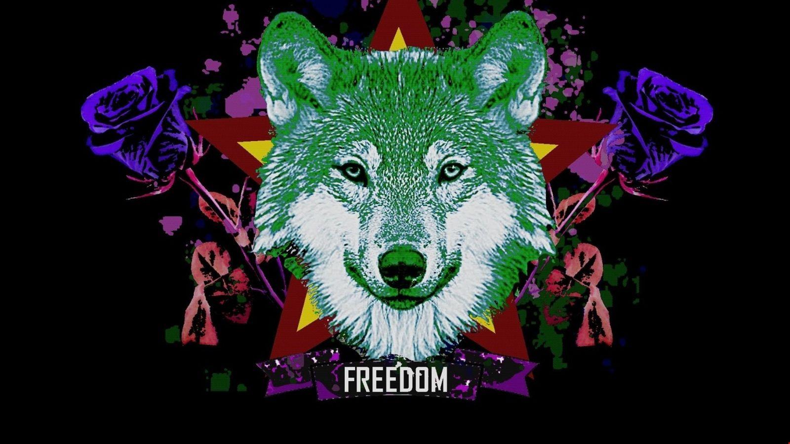1600x900 1k Hipster Wolf & Dark Background. HD Wallpaper 5k