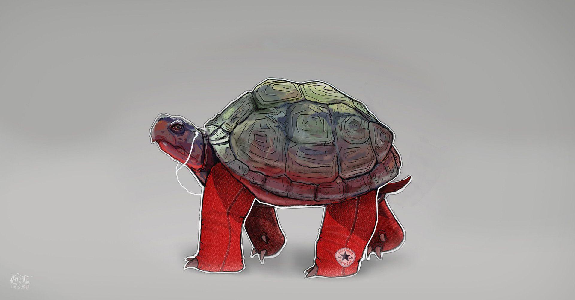 1920x1004 IPod Turtles Converse Hipster Hip Background Apples Tortoise