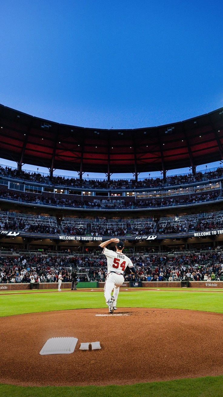 736x1308 Baseball Park Wallpaper: Bringing