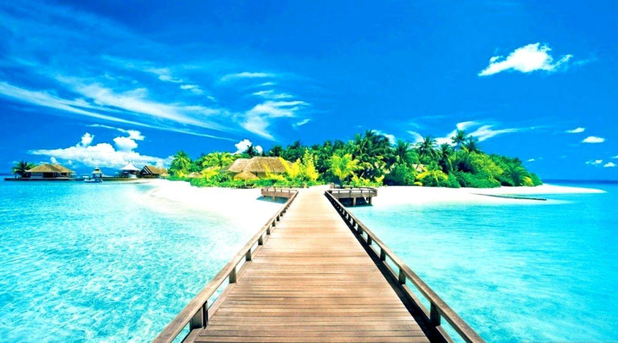 1270x706 Summer Beach Tumblr Background