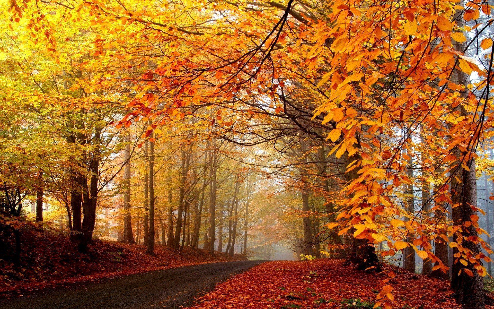 Tumblr Autumn Desktop Wallpapers - Top Free Tumblr Autumn Desktop