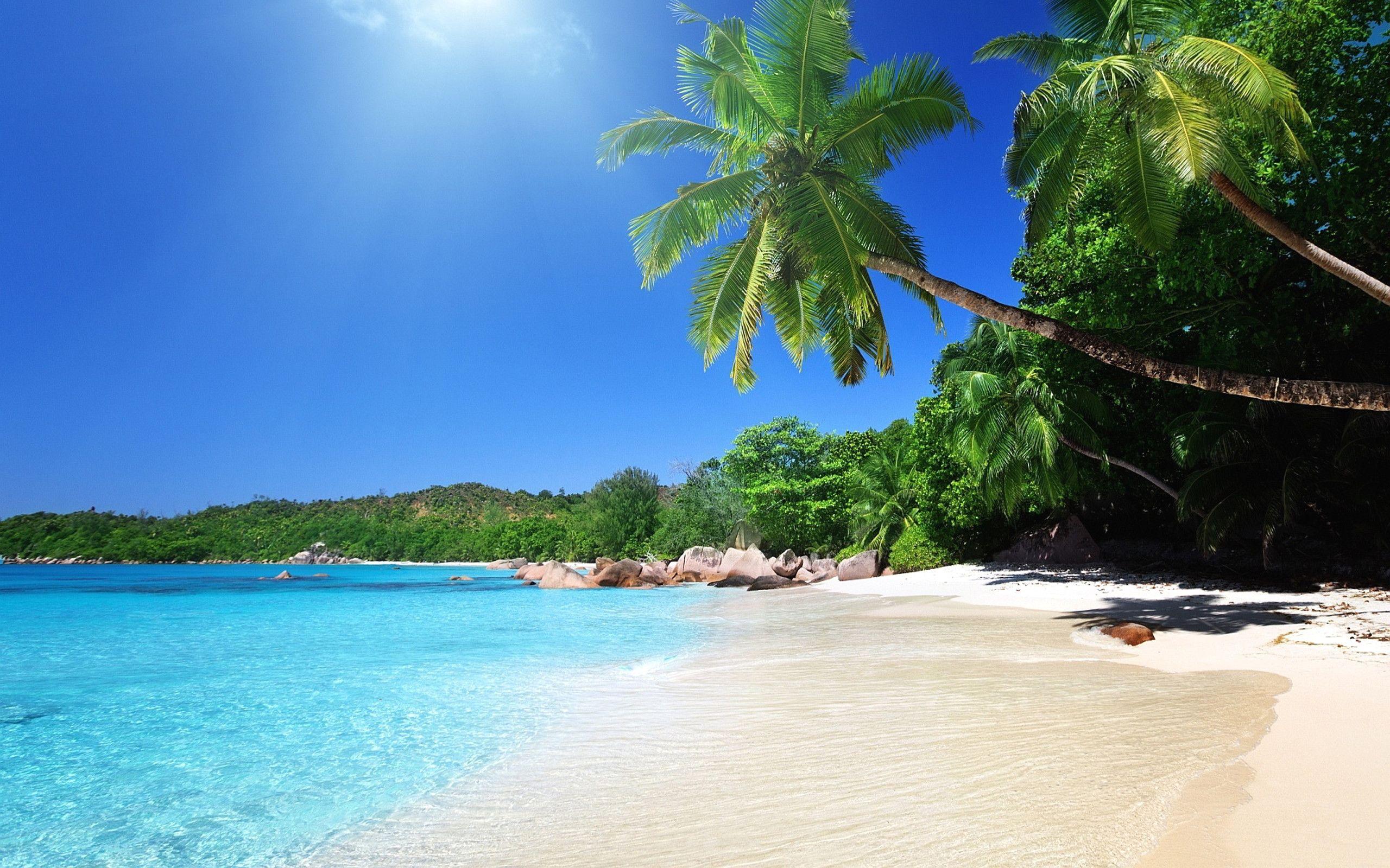 2560x1600 Summer Beach Wallpaper