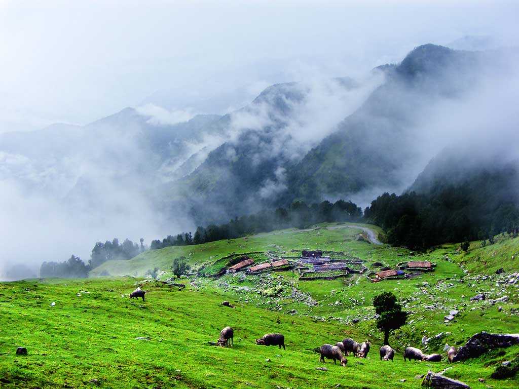 1024x768 Photos of Chopta Valley