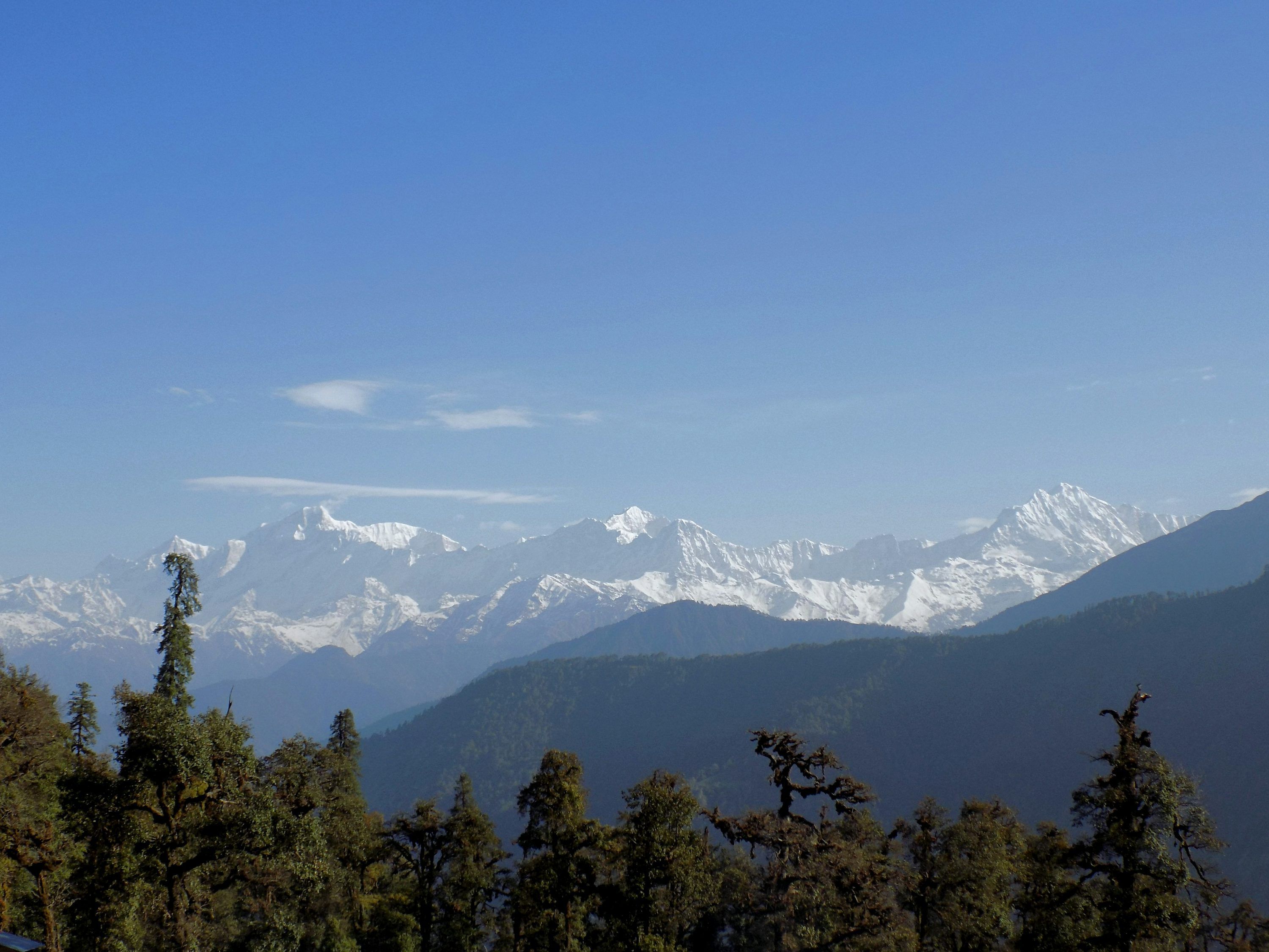 3000x2250 Chopta Picture. Download Free Image