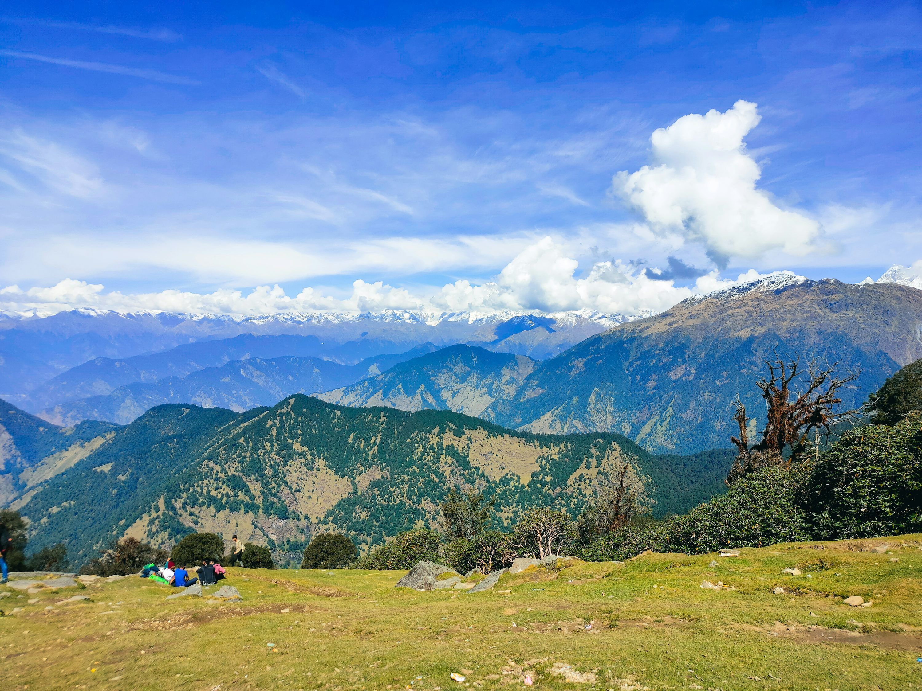 3000x2250 Chopta Picture. Download Free Image