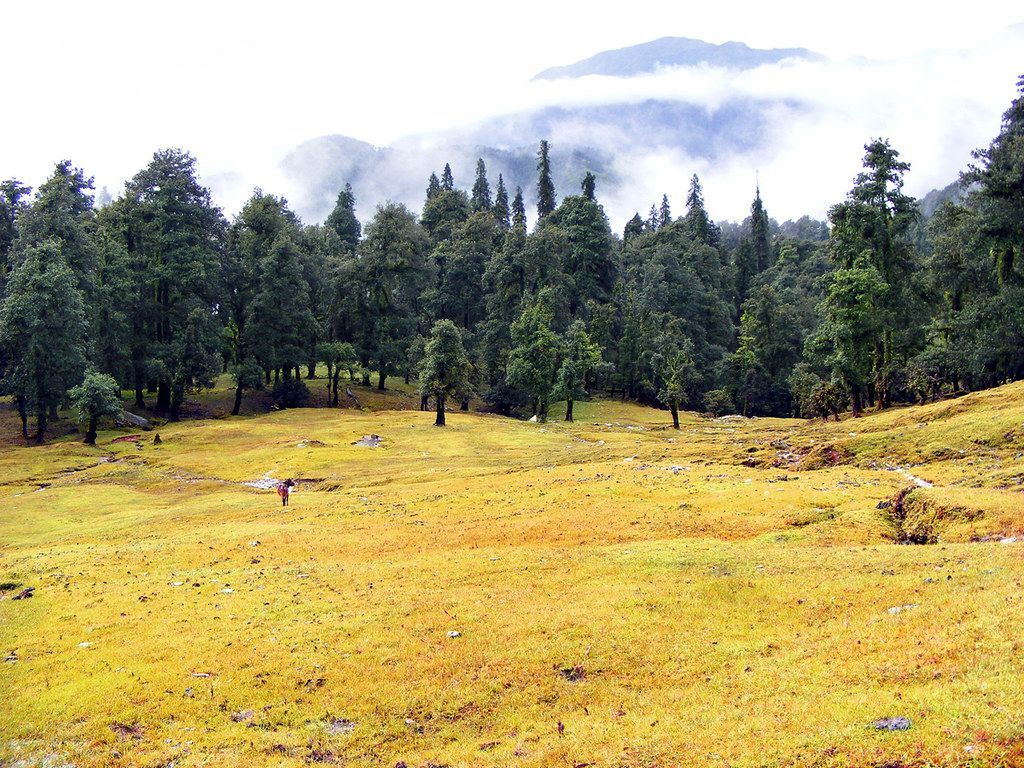 1024x768 Chopta India's Switzerland