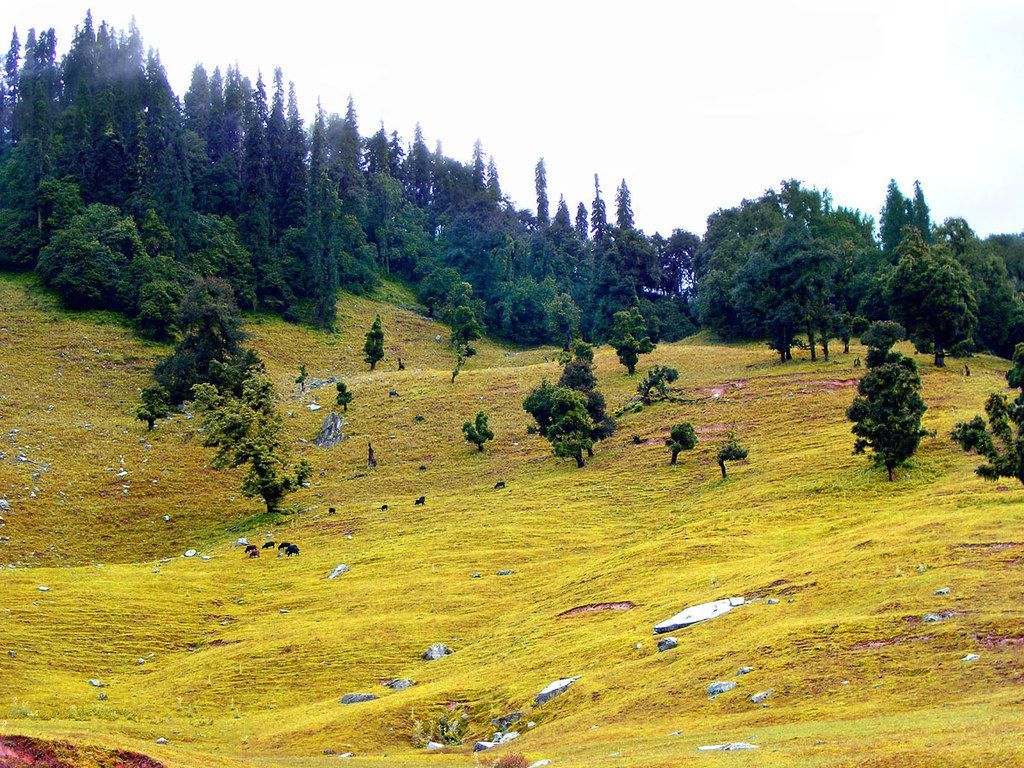 1024x768 Chopta bugyals India's Switzerland