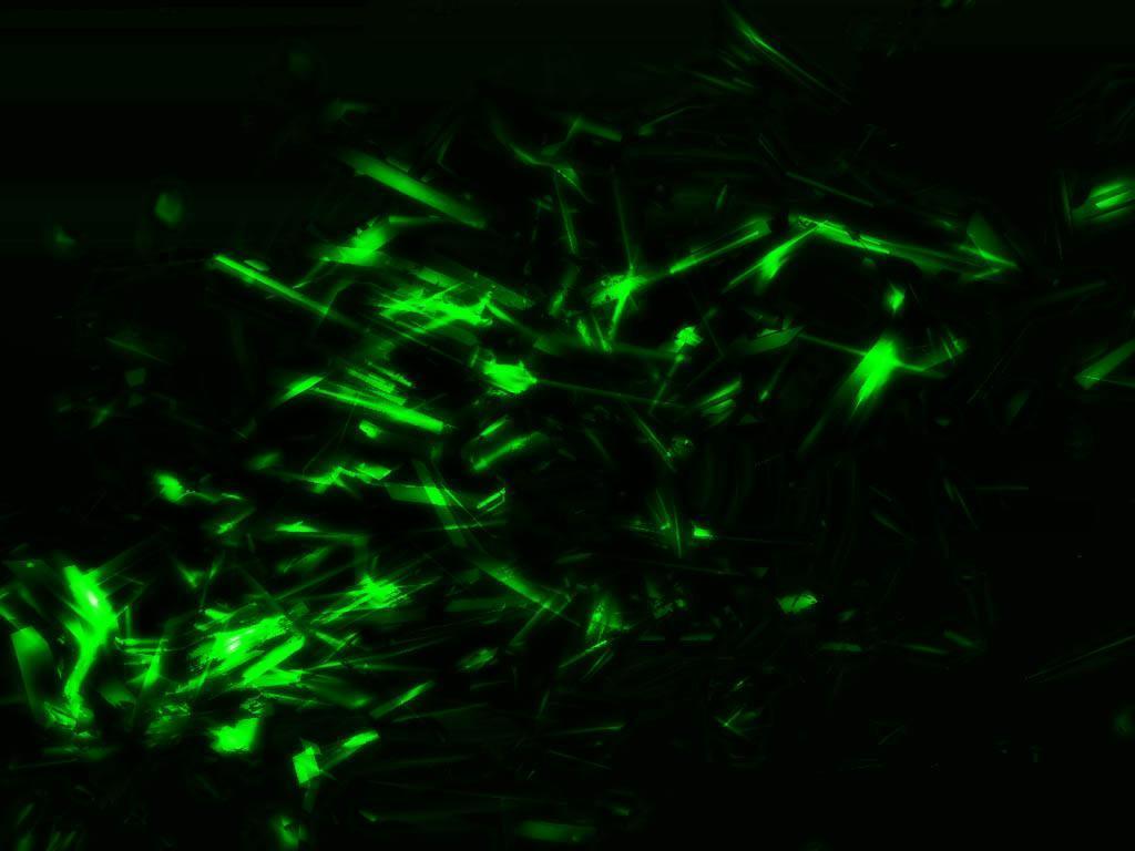 1024x768 Neon Green Wallpaper