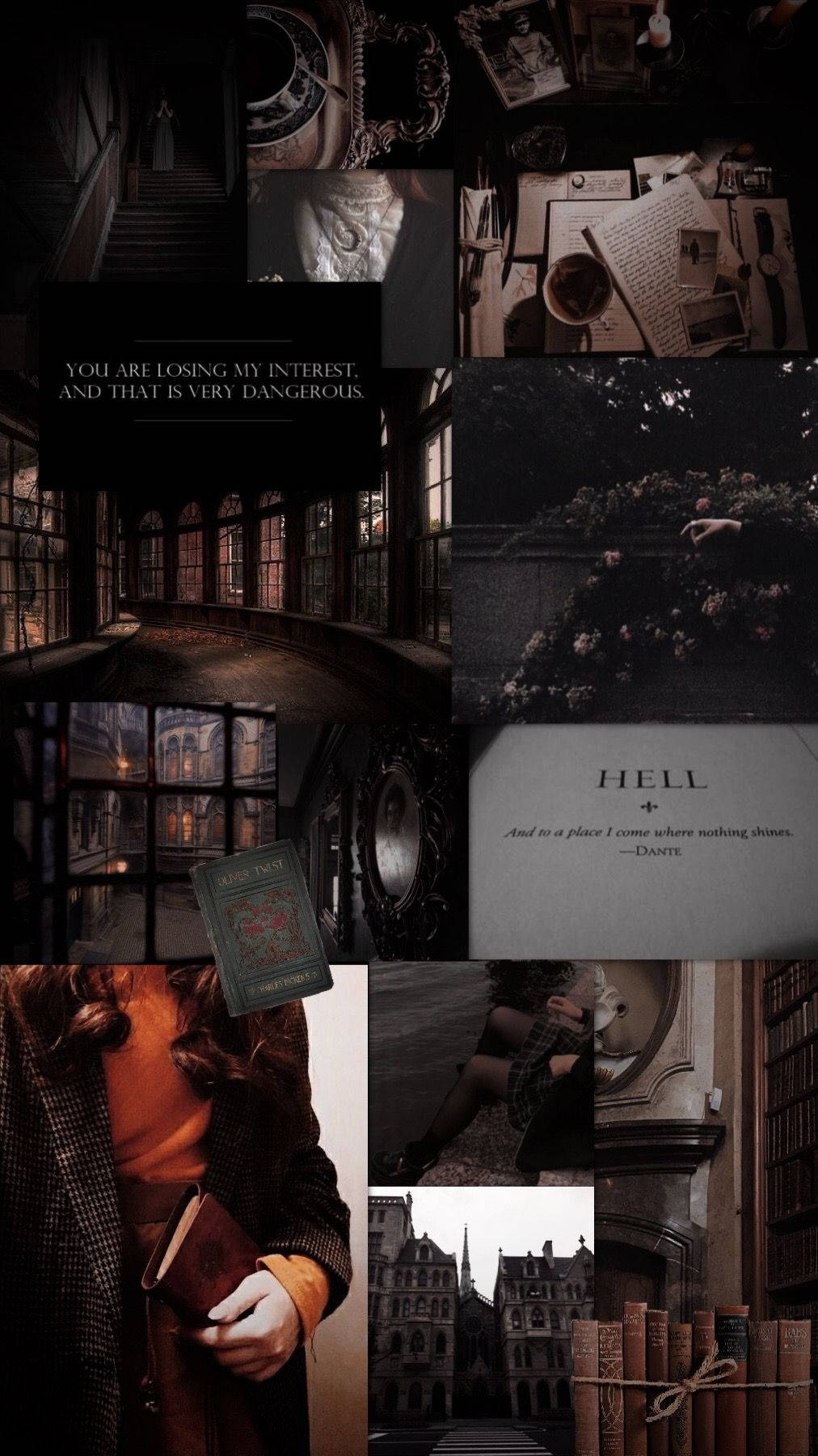 1012x1800 Dark Academia Aesthetic Wallpaper