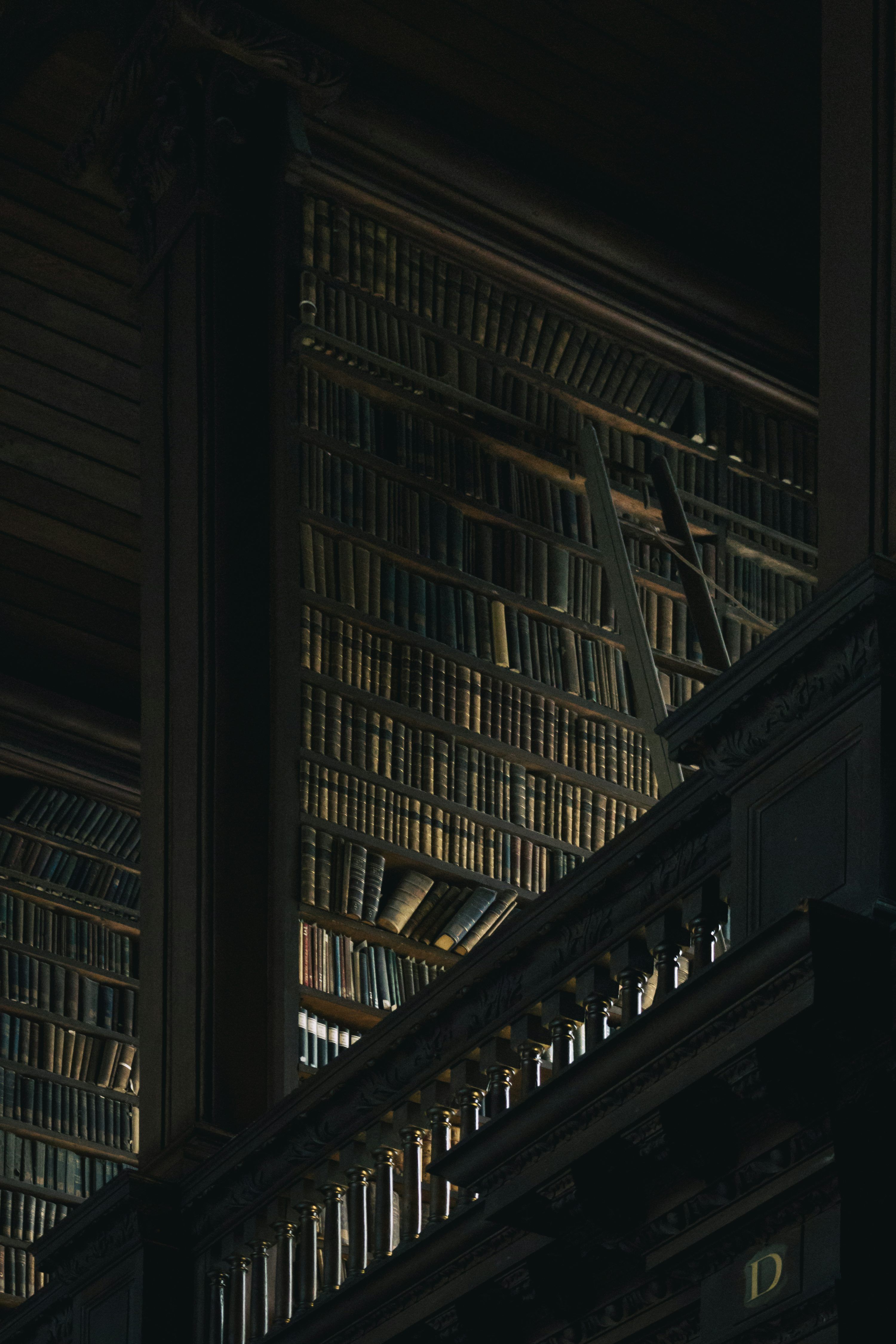 3000x4500 Dark Academia Library Picture