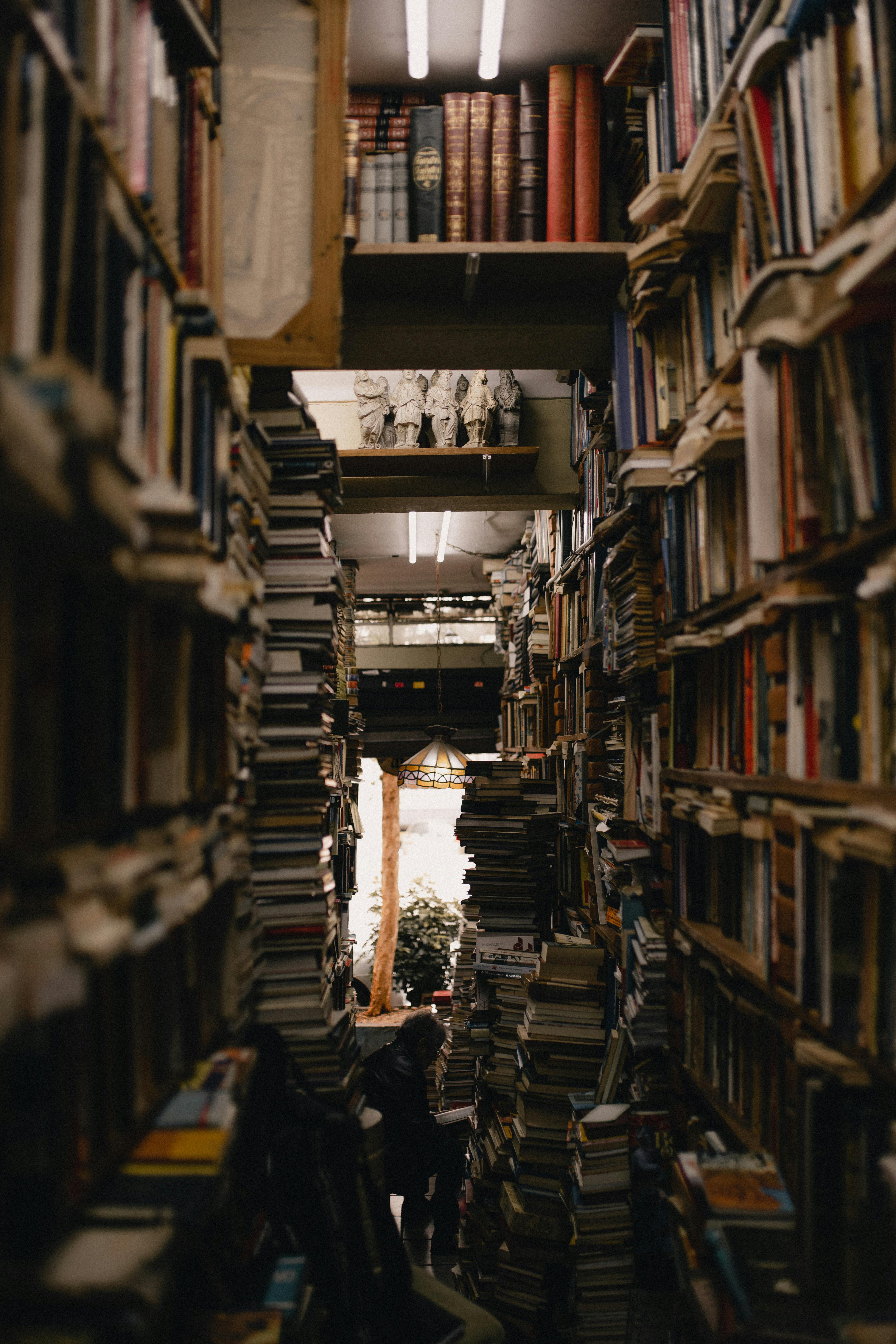4160x6240 Dark Academia Photo, Download The BEST