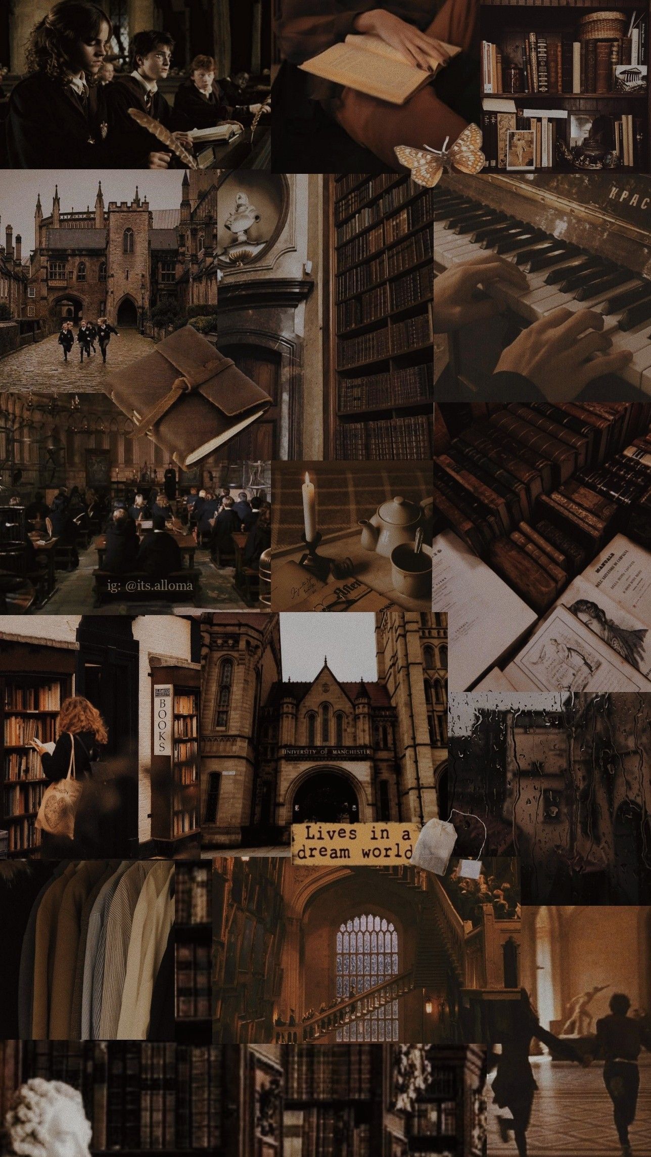 1288x2289 Dark Academia Harry Potter Wallpaper