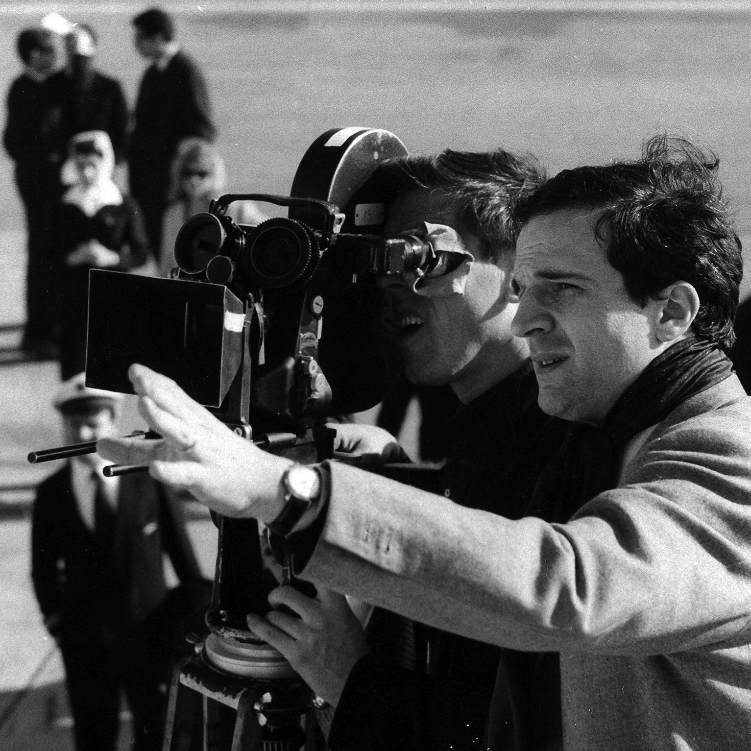 1471x1471 Truffaut Wallpaper