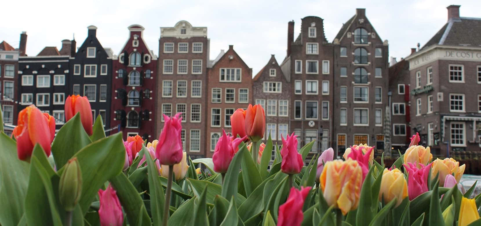1660x780 Buildings In Amsterdam Wallpaper