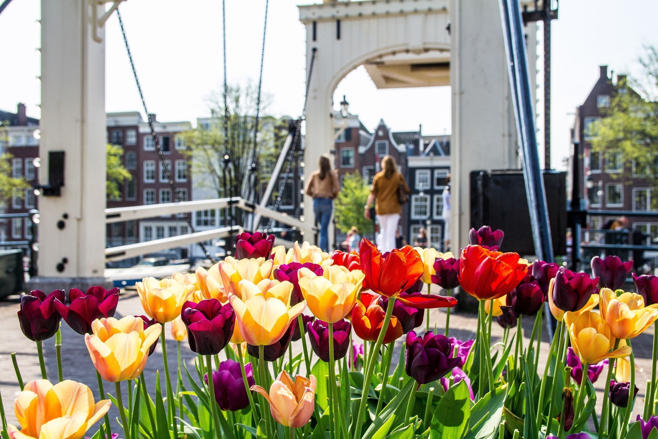2121x1414 Amsterdam Mini Cruise: How To See