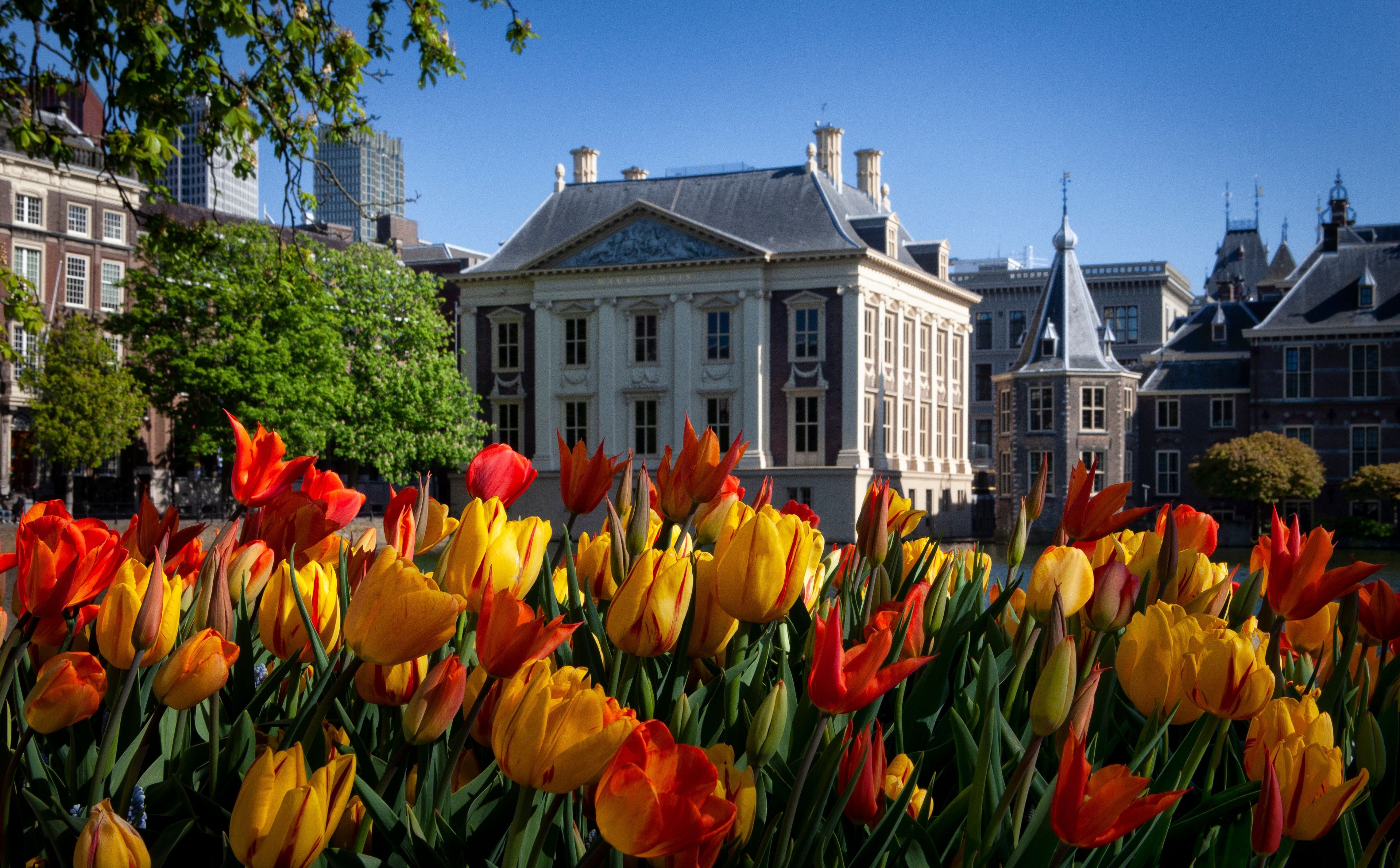 4562x2830 Hague 4k Ultra HD Wallpaper