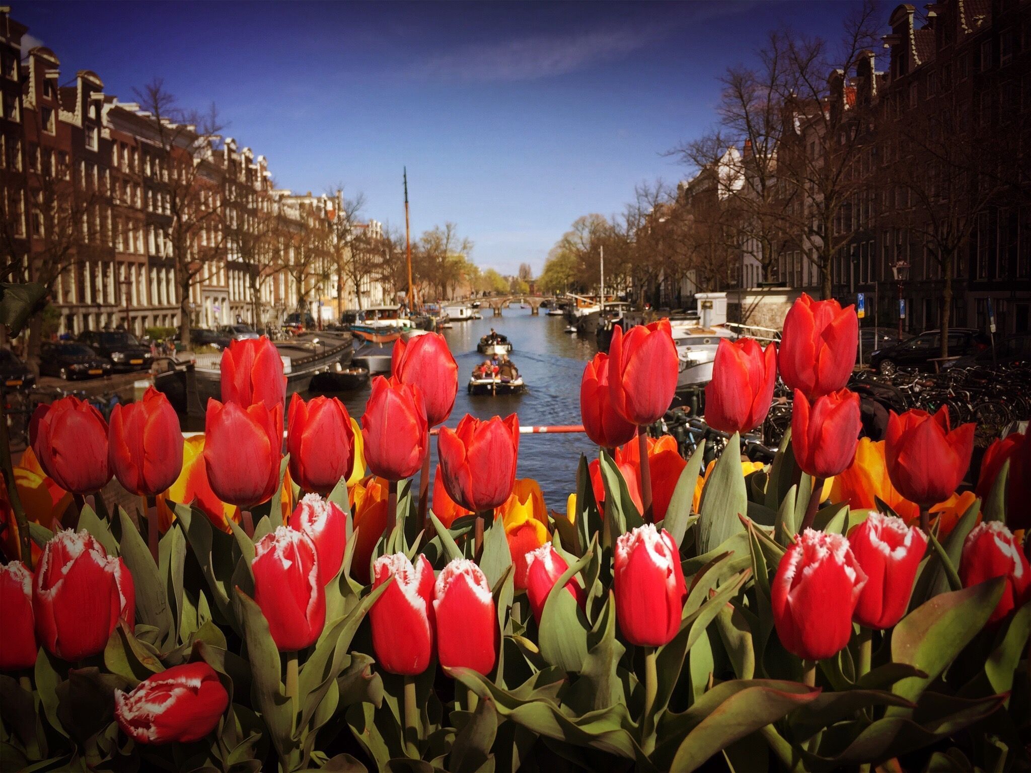 2048x1536 Amsterdam Mini Cruise: How To See