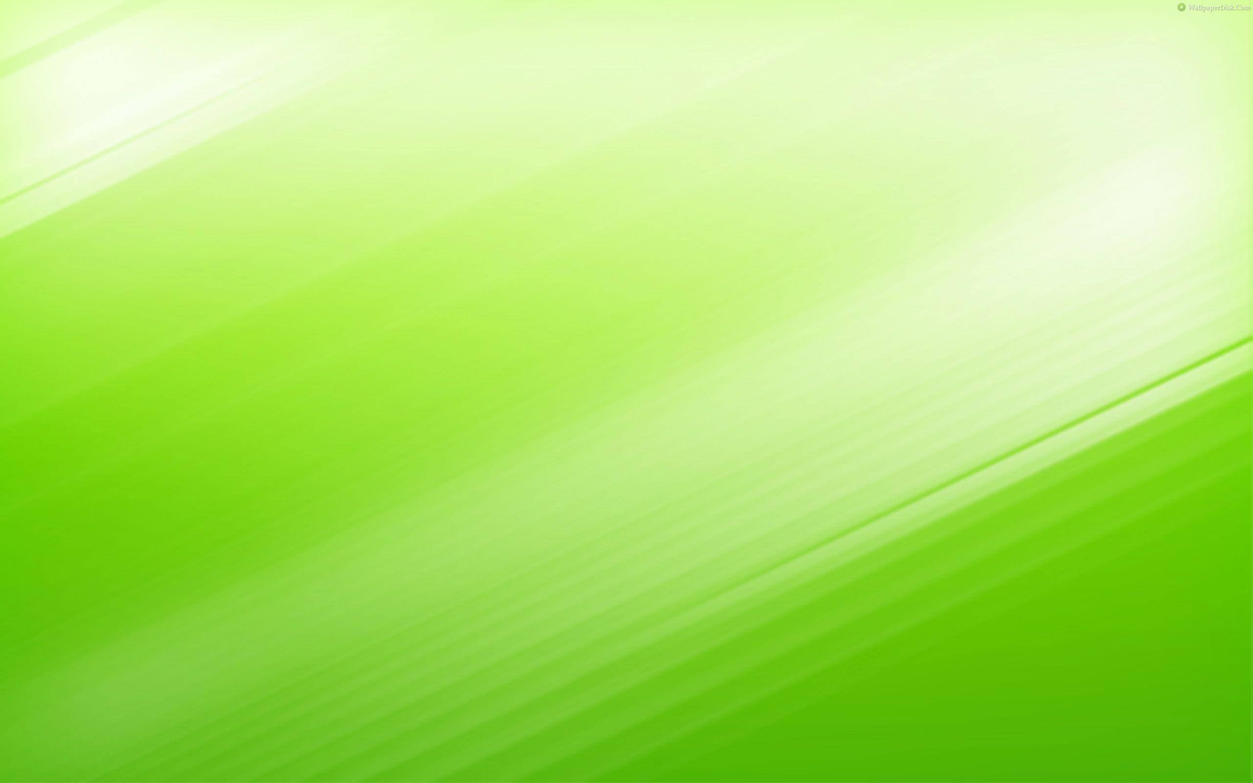 2560x1600 Green Wallpaper, Best Green Background