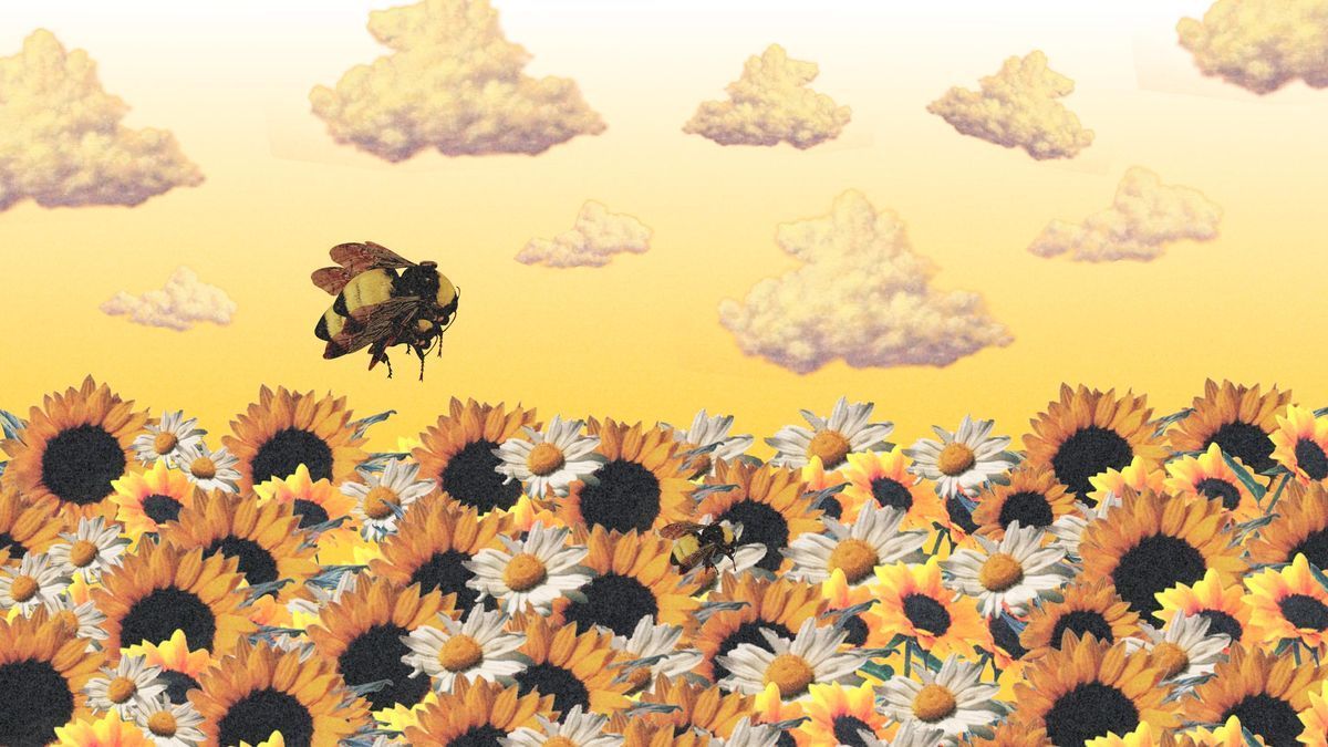 1200x675 Awesome Tyler the Creator Desktop