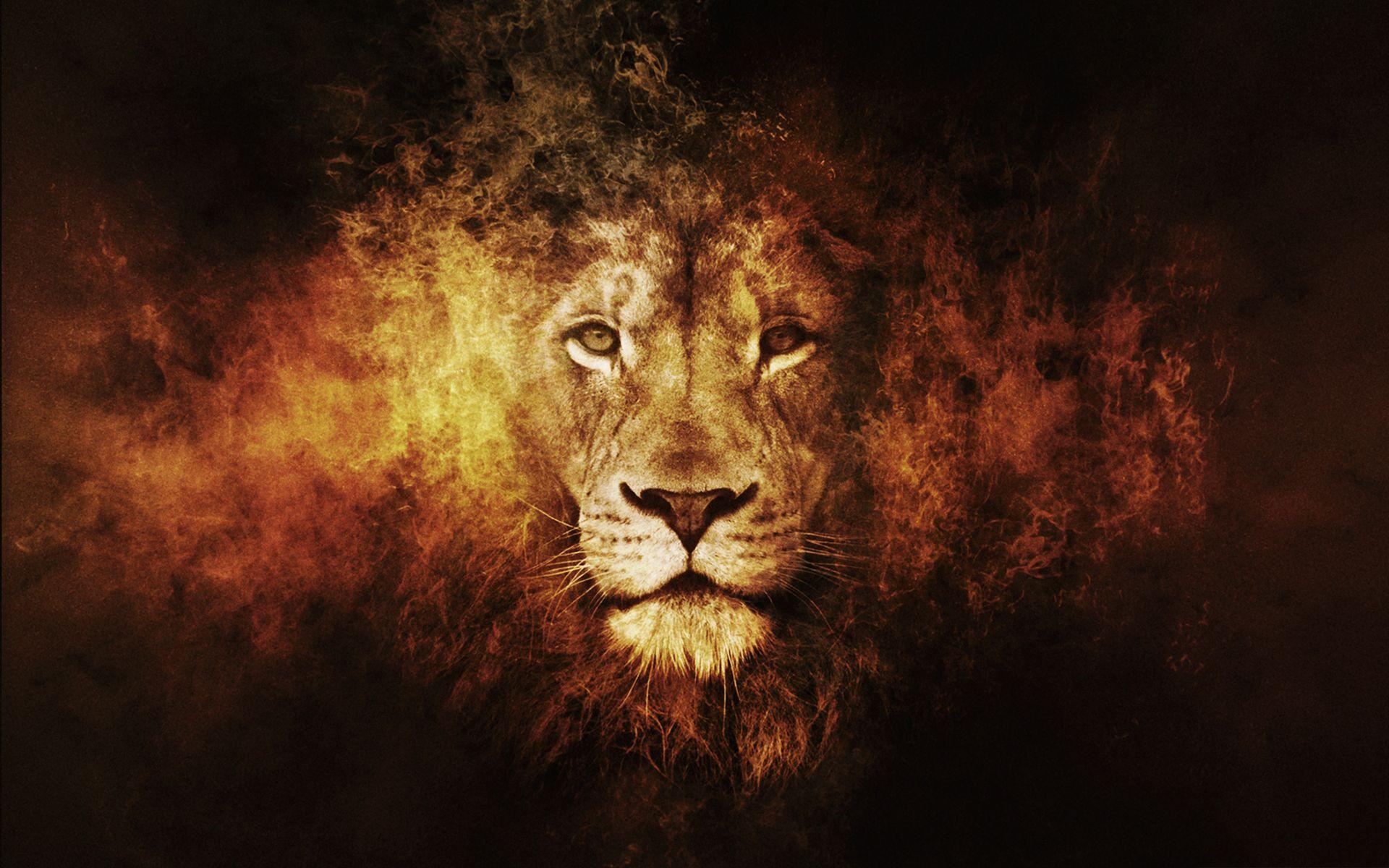 1920x1200 Lion fire art wallpaperx1200