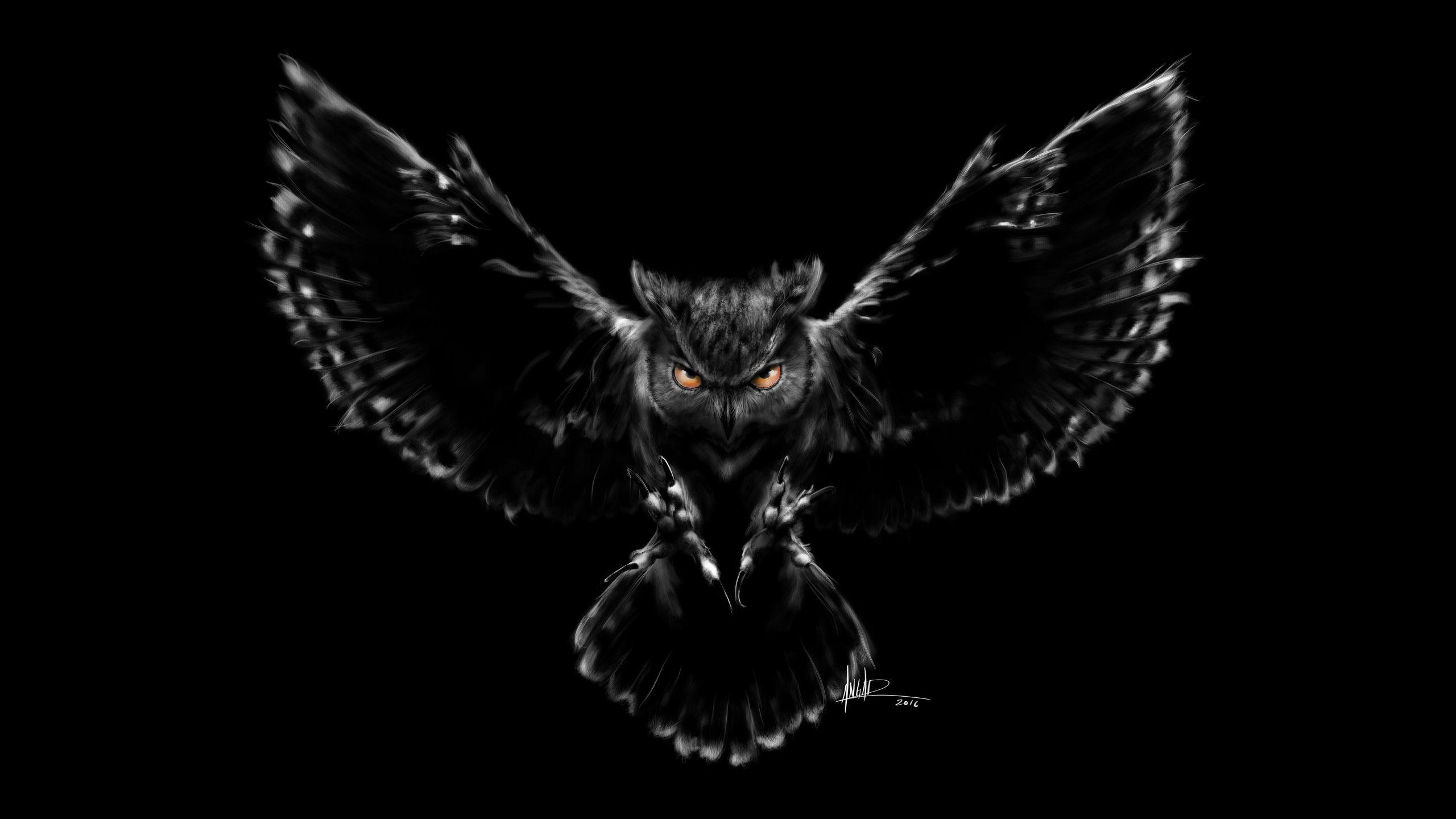 2560x1440 Scary Owl Wallpaper