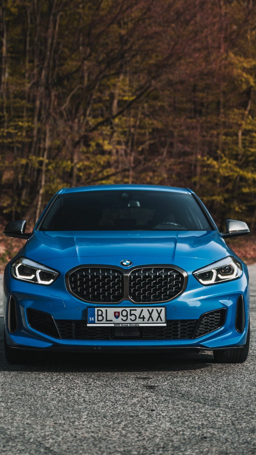 1080x1920 BMW 2 Series Wallpaper 67 image