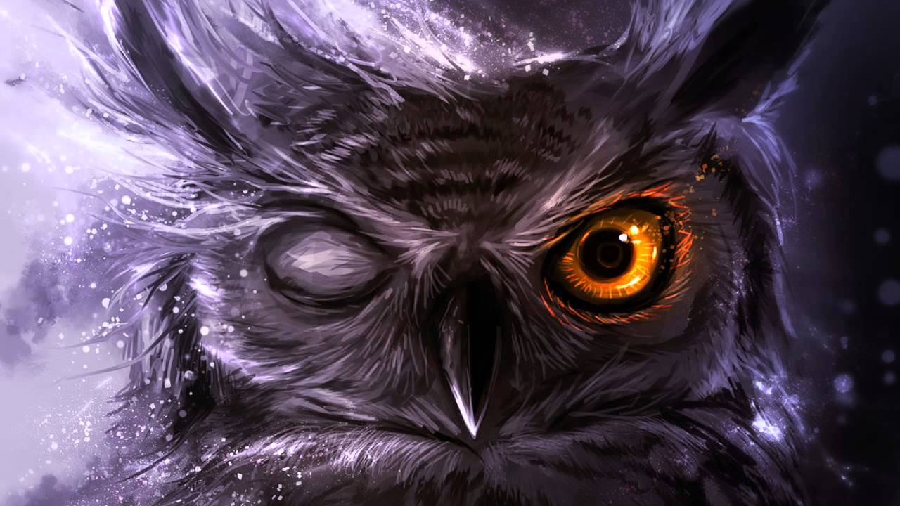 1280x720 Purple Owl Wallpaper