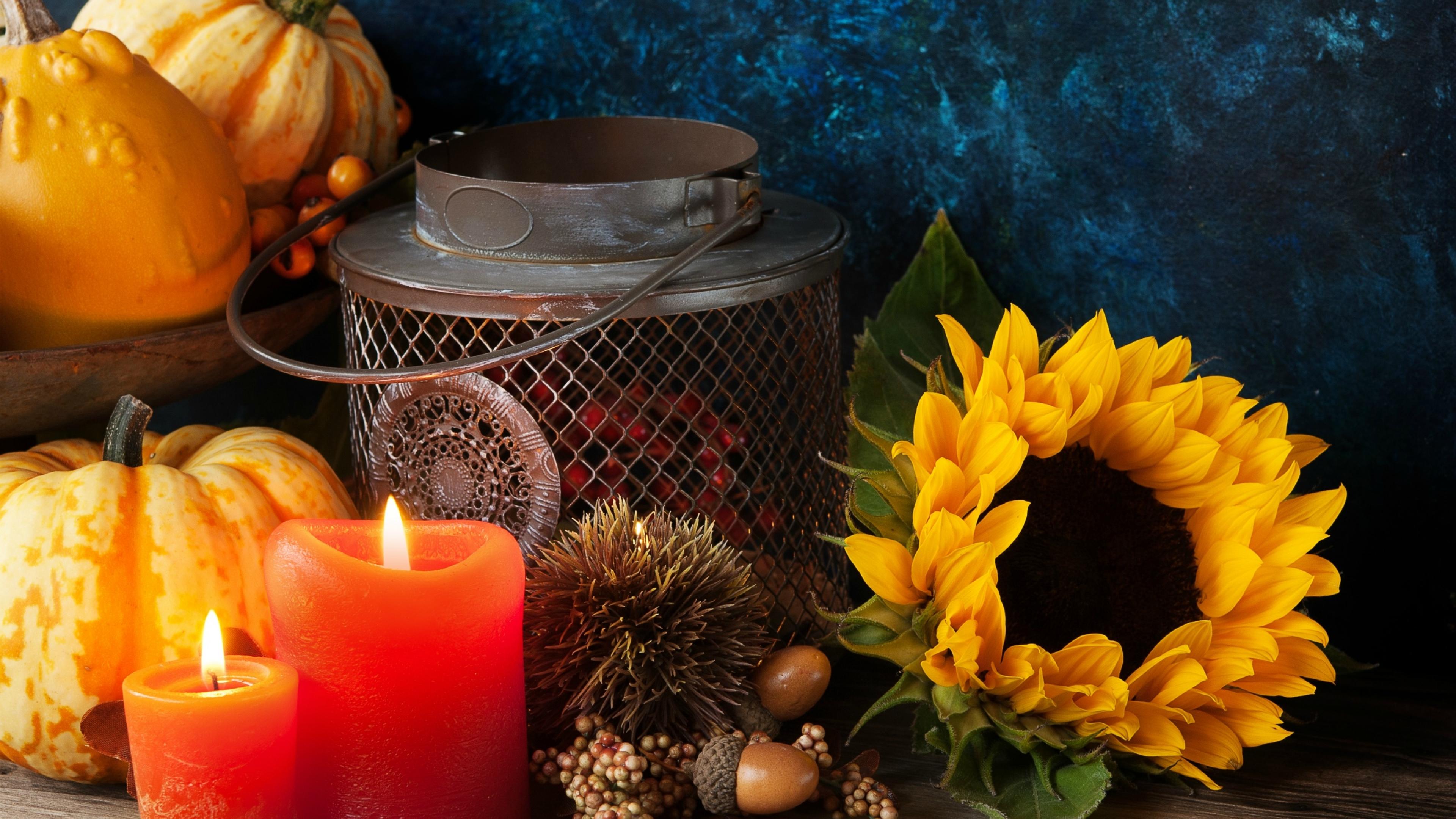 3840x2160 Gourd Candle Sunflower Fall Photography