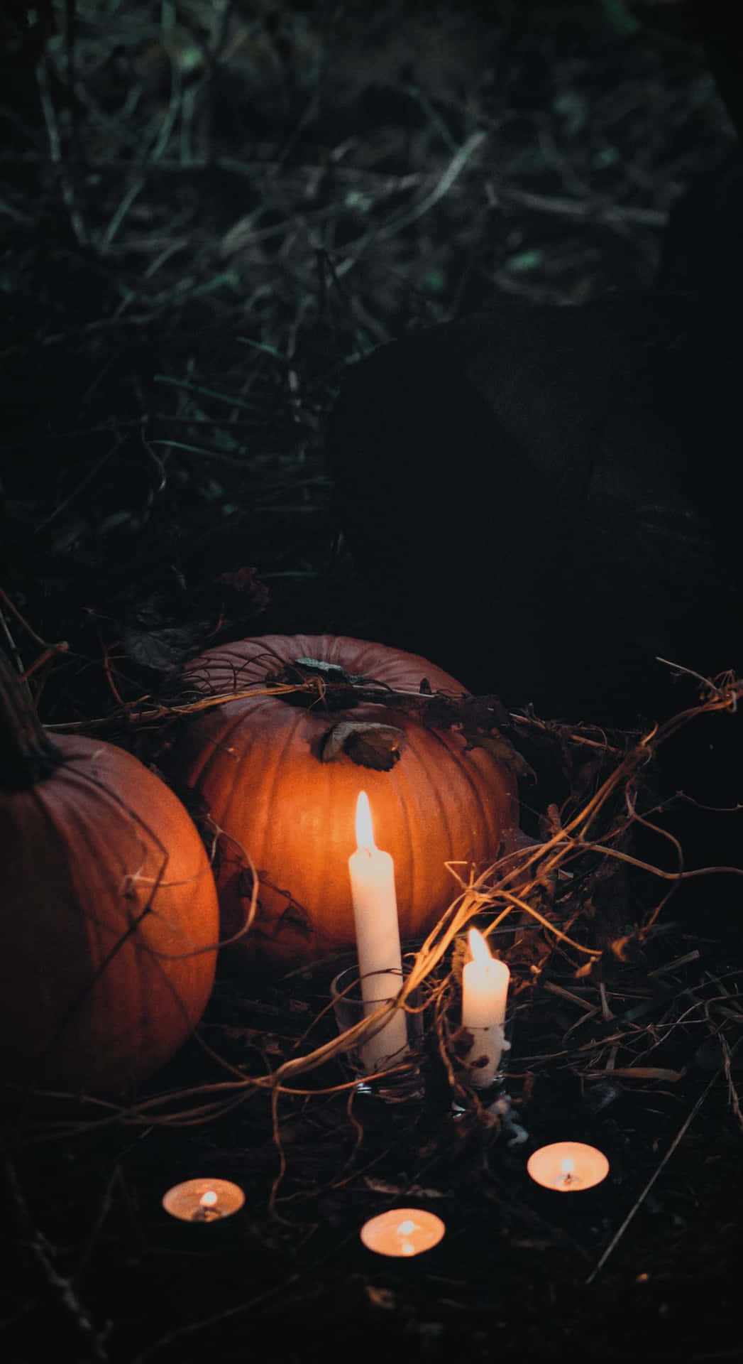 1047x1920 Fall Halloween iPhone Wallpaper