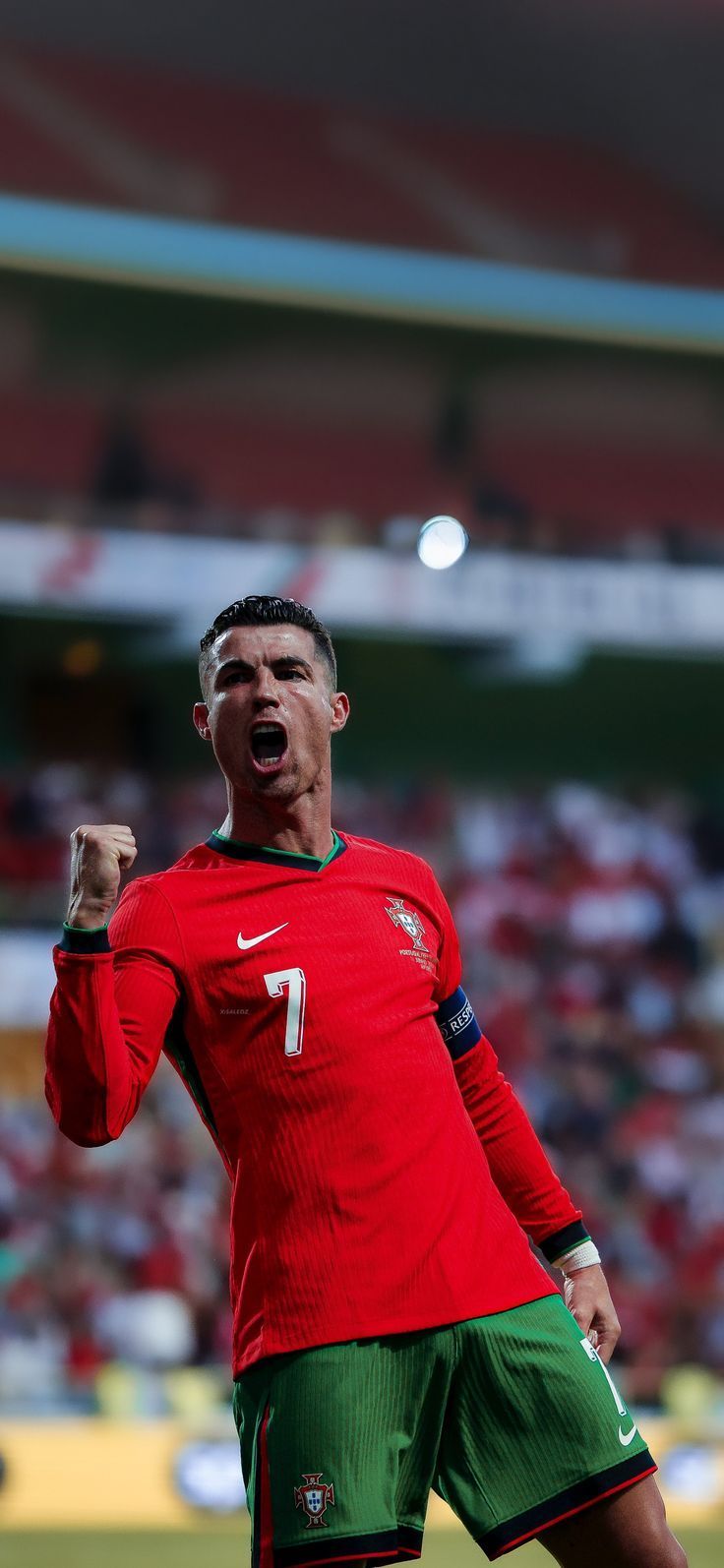 736x1594 Cristiano vs Ireland