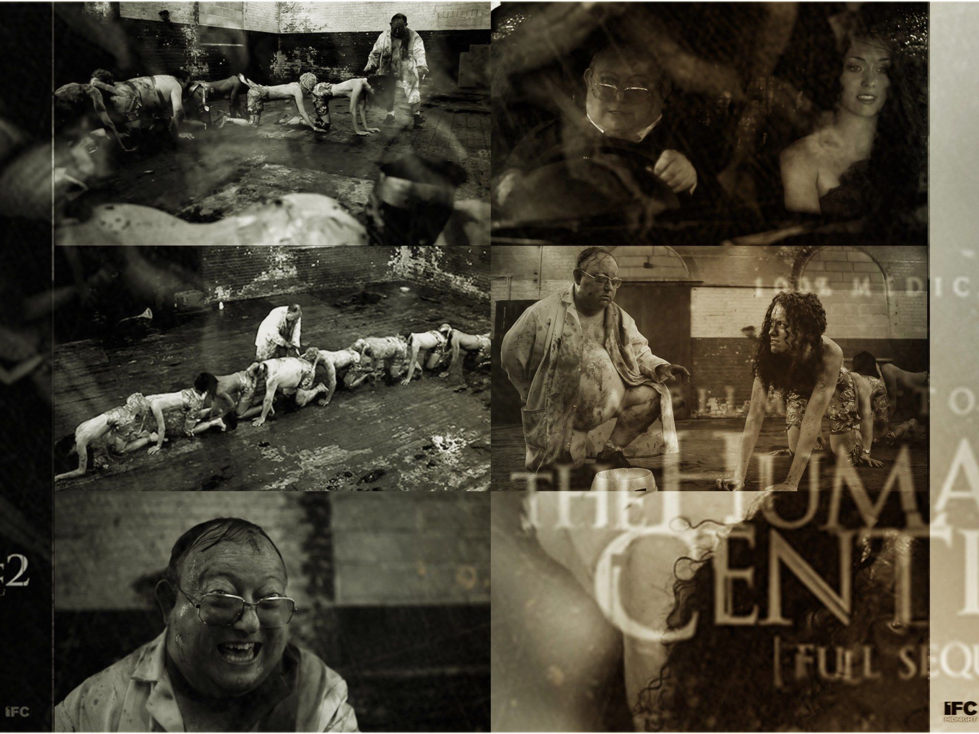 2000x1500 The Human Centipede 2