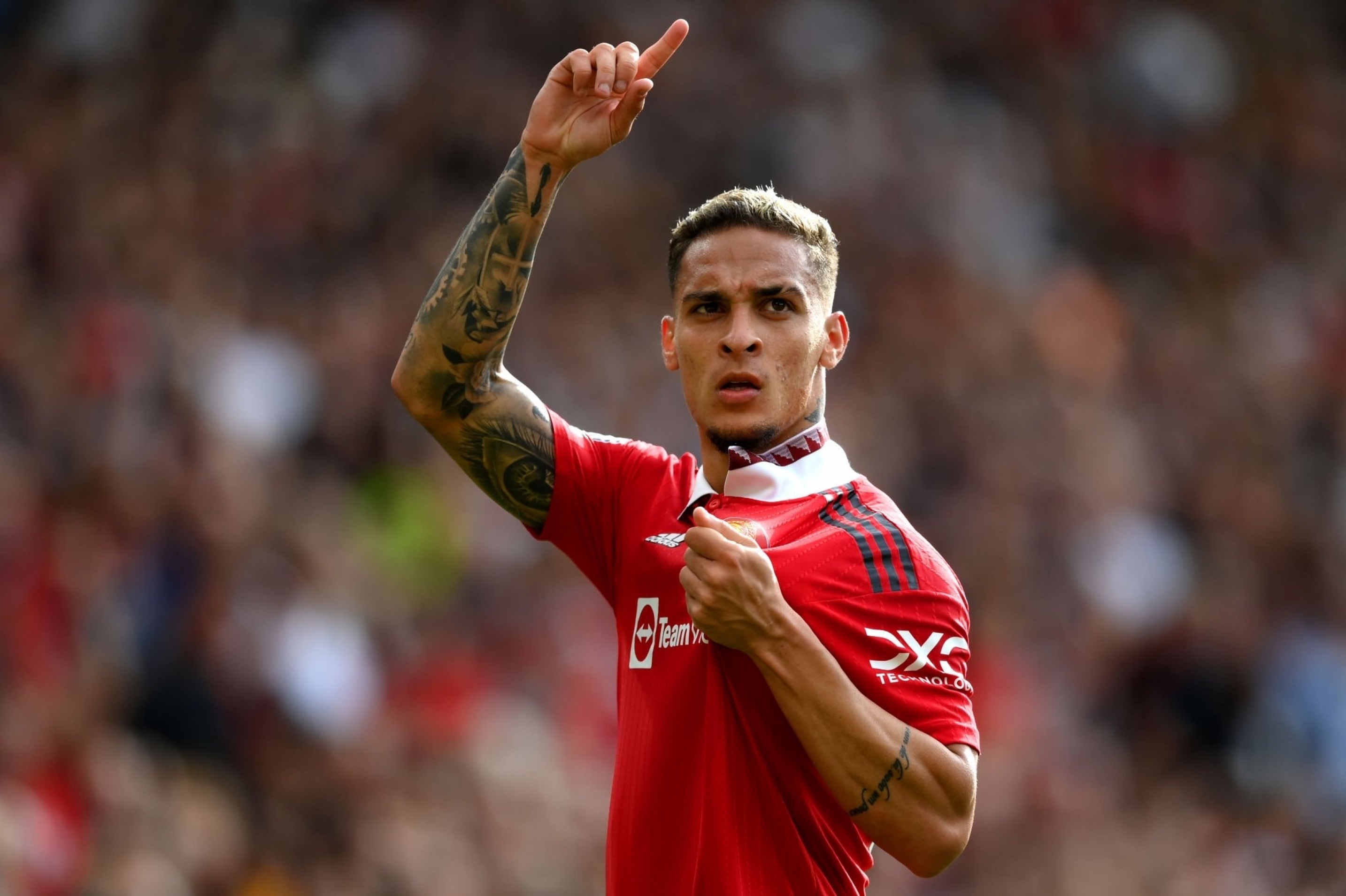 Antony Wallpapers Top Free Antony Backgrounds