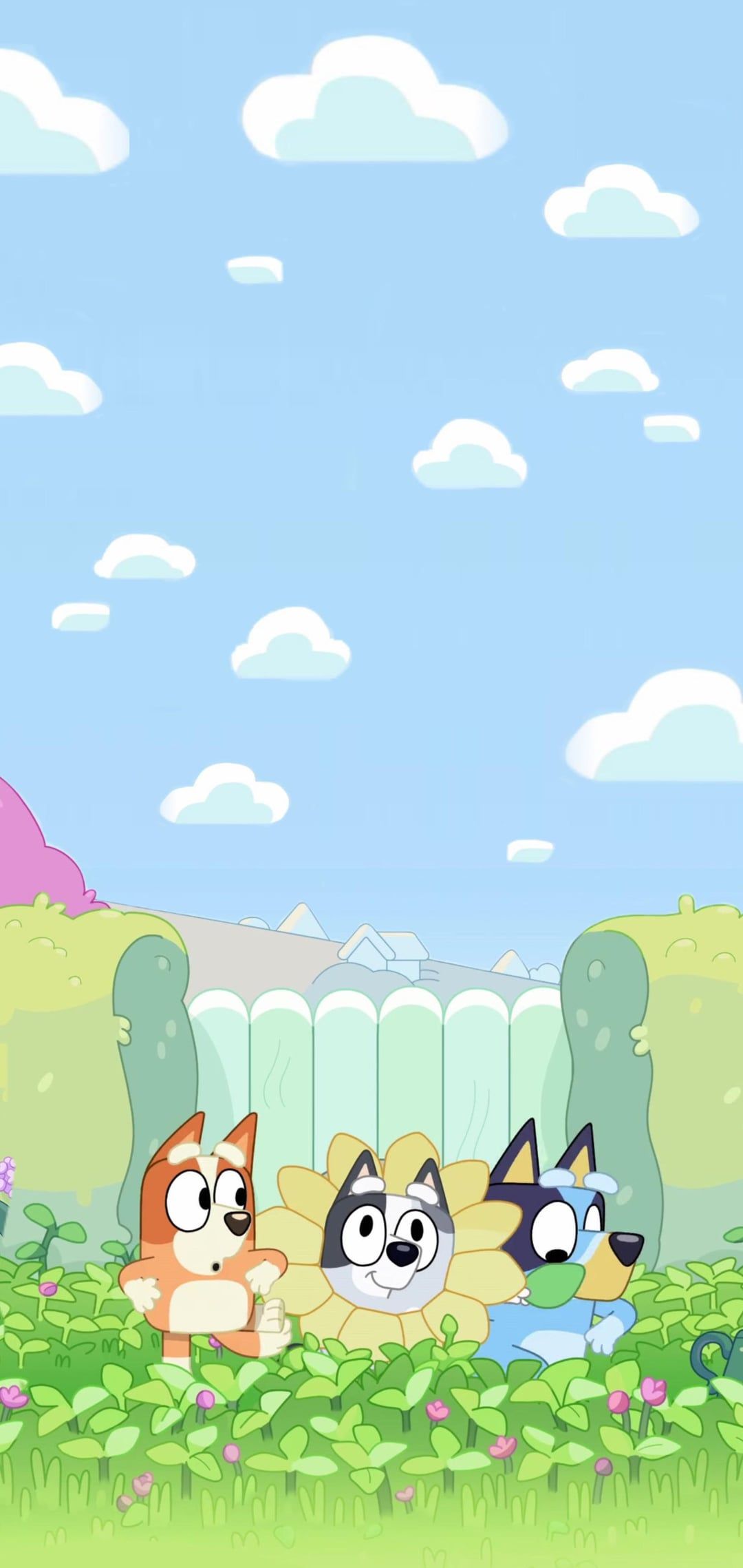 1080x2277 Two Muffin Phone Wallpaper!