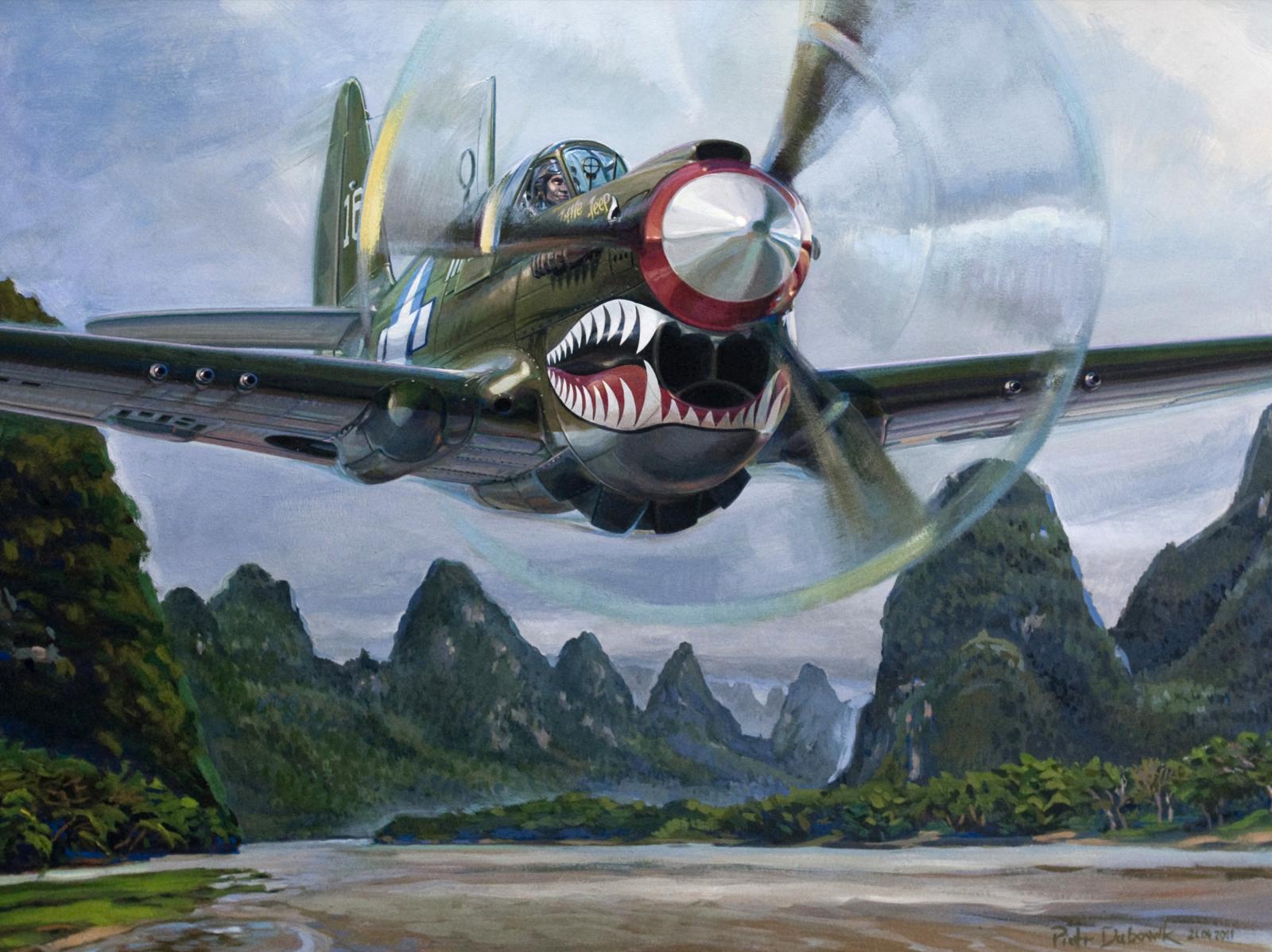 1600x1198 P 40 Warhawk Wallpaper