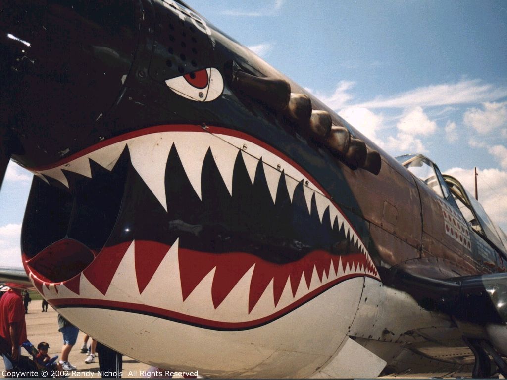 1024x768 P 40 Warhawk Wallpaper