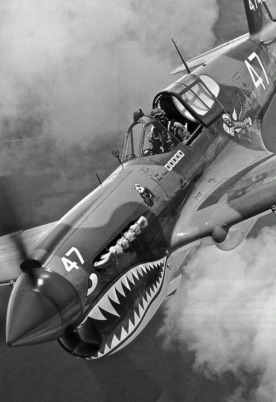 900x1310 P 40 Warhawk Of The AVG Flying Tigers