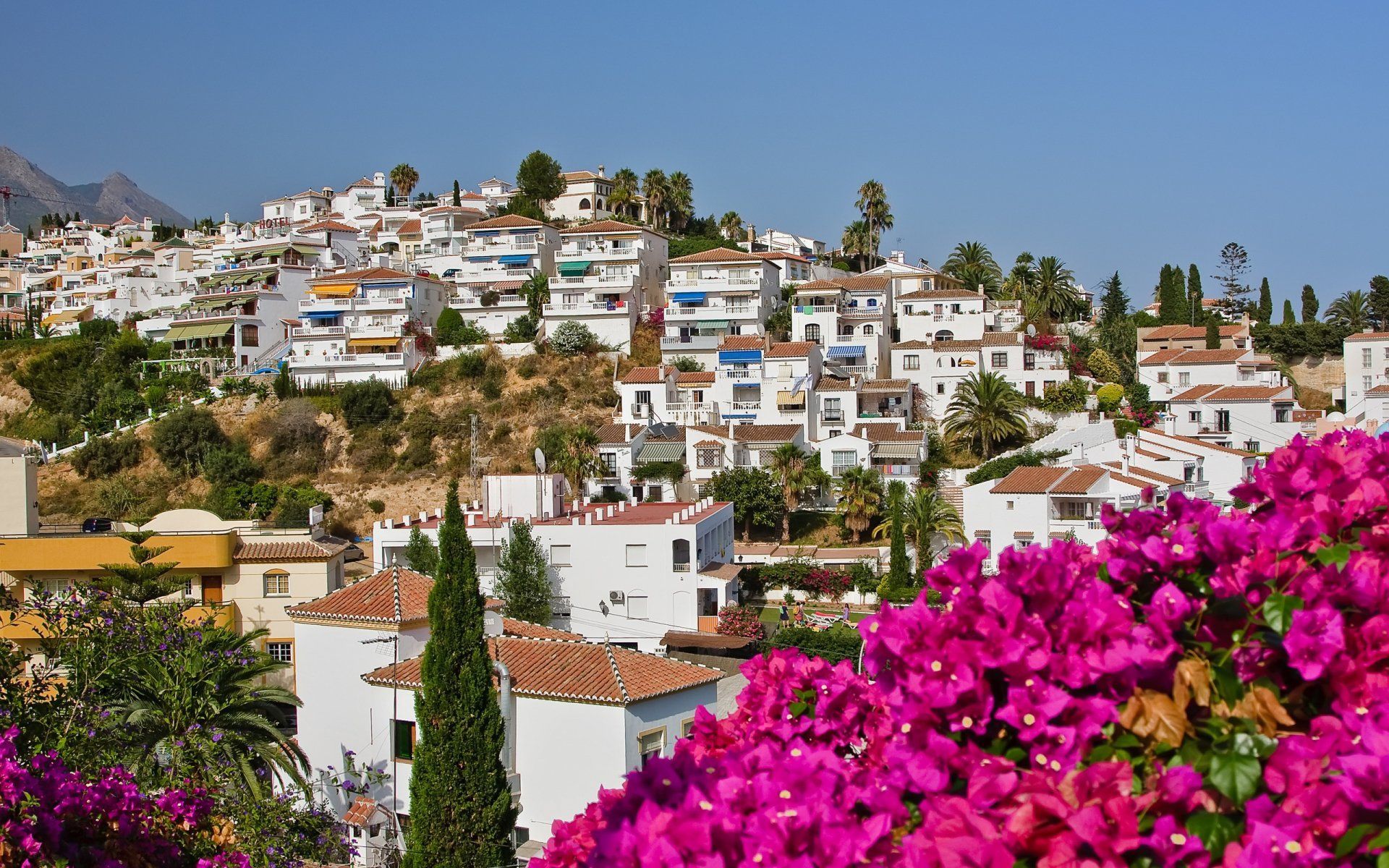 1920x1200 Palm Tree Sky House Flower Spain Nerja