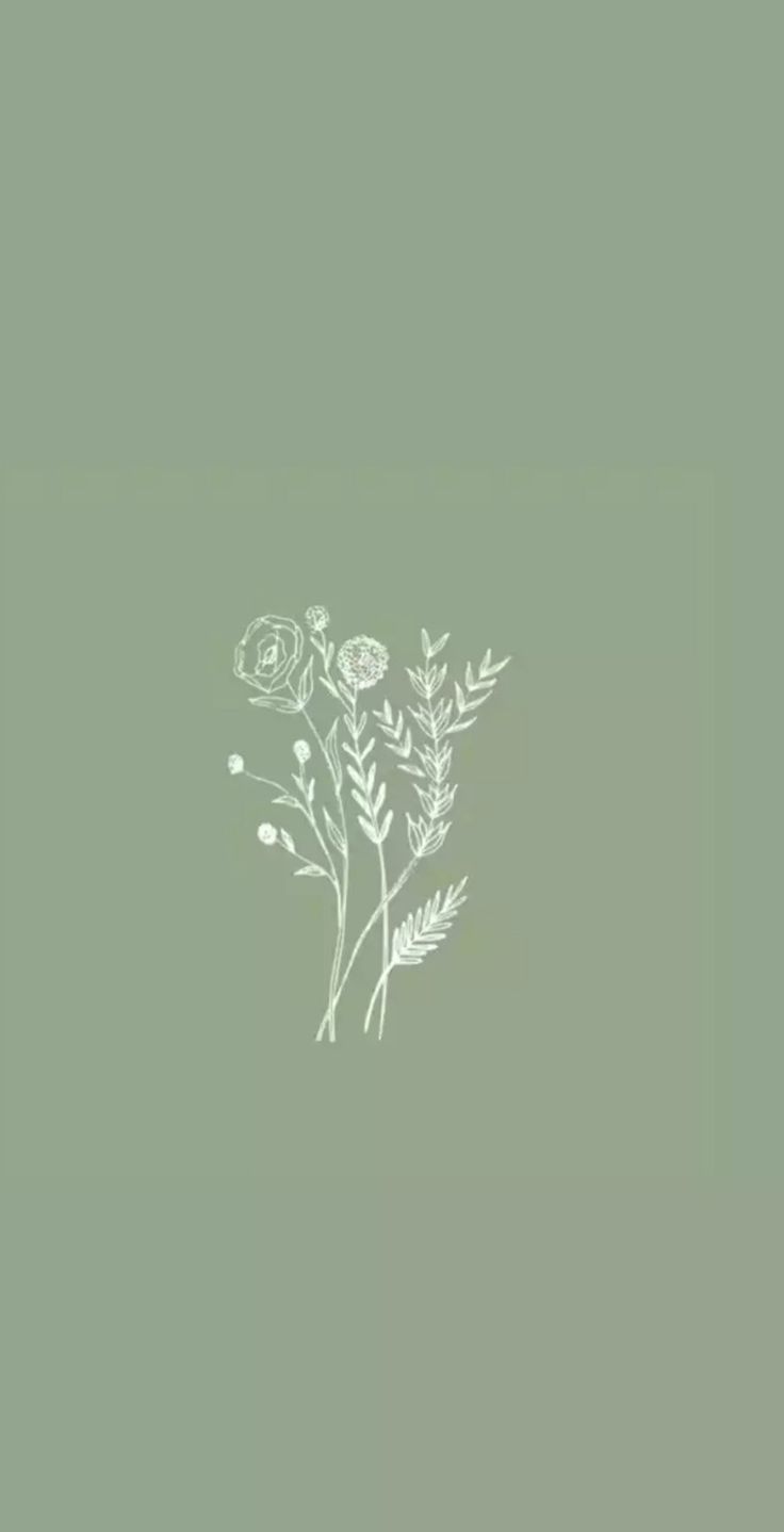 Sage Green Minimalist Wallpapers Top Free Sage Green Minimalist