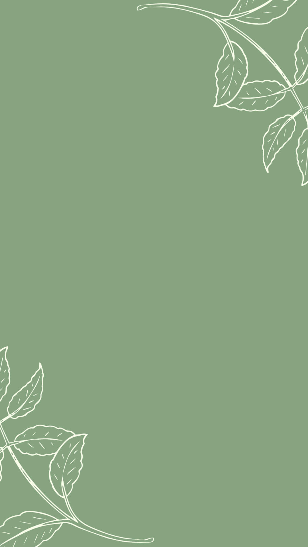 Sage Green Minimalist Wallpapers - Top Free Sage Green Minimalist