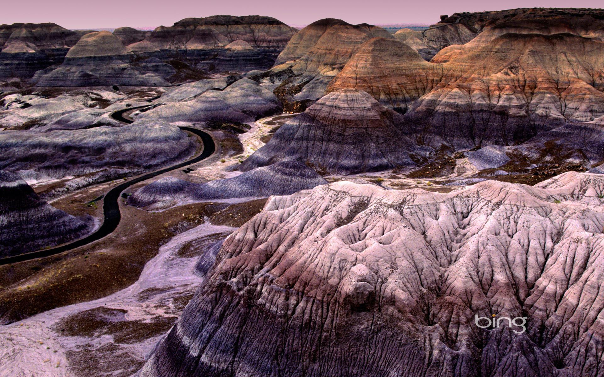 1920x1200 Painted Desert Wallpaper