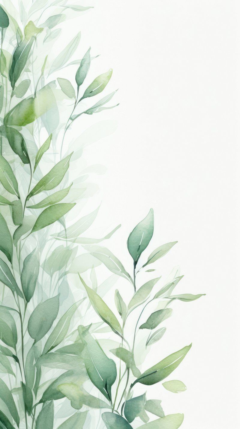 Sage Green Minimalist Wallpapers - Top Free Sage Green Minimalist