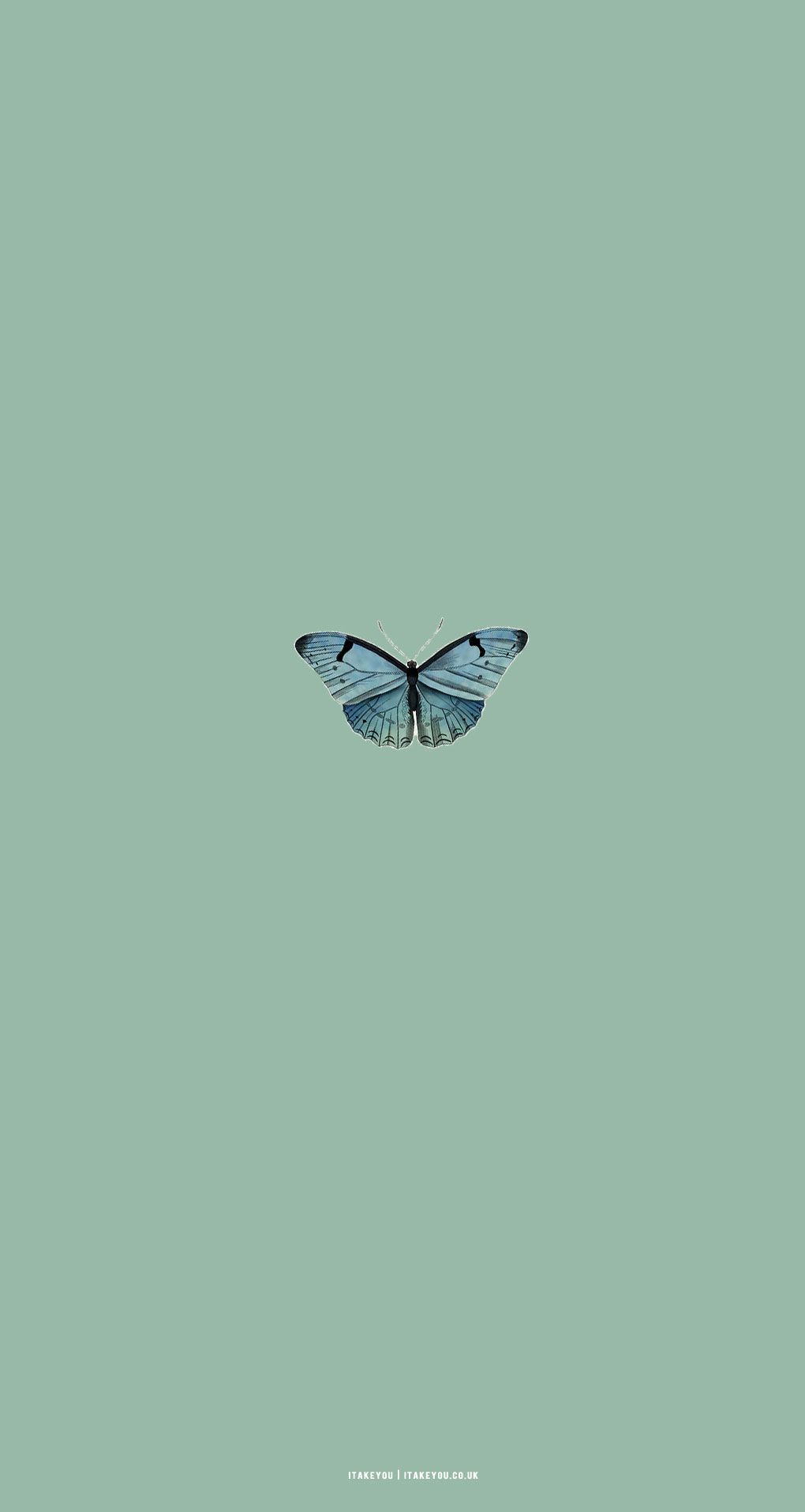 1020x1915 Sage Green Minimalist Wallpaper