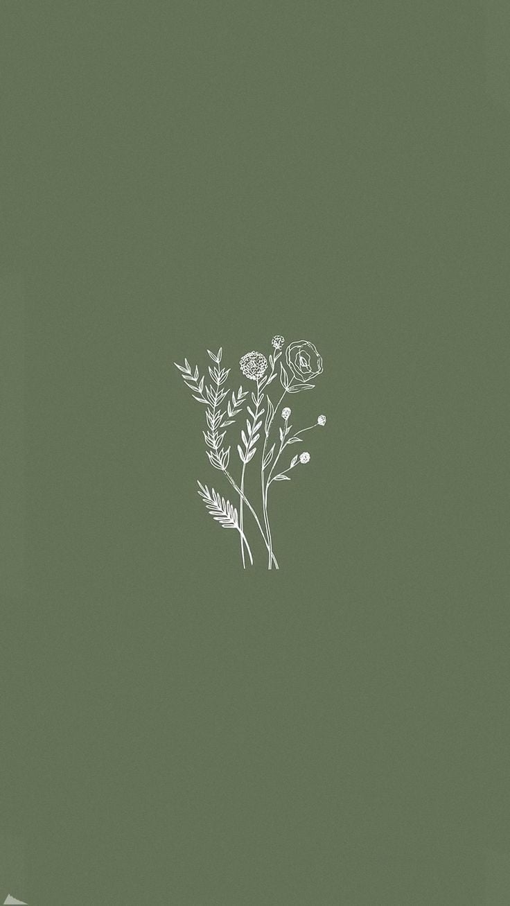 Sage Green Minimalist Wallpapers Top Free Sage Green Minimalist