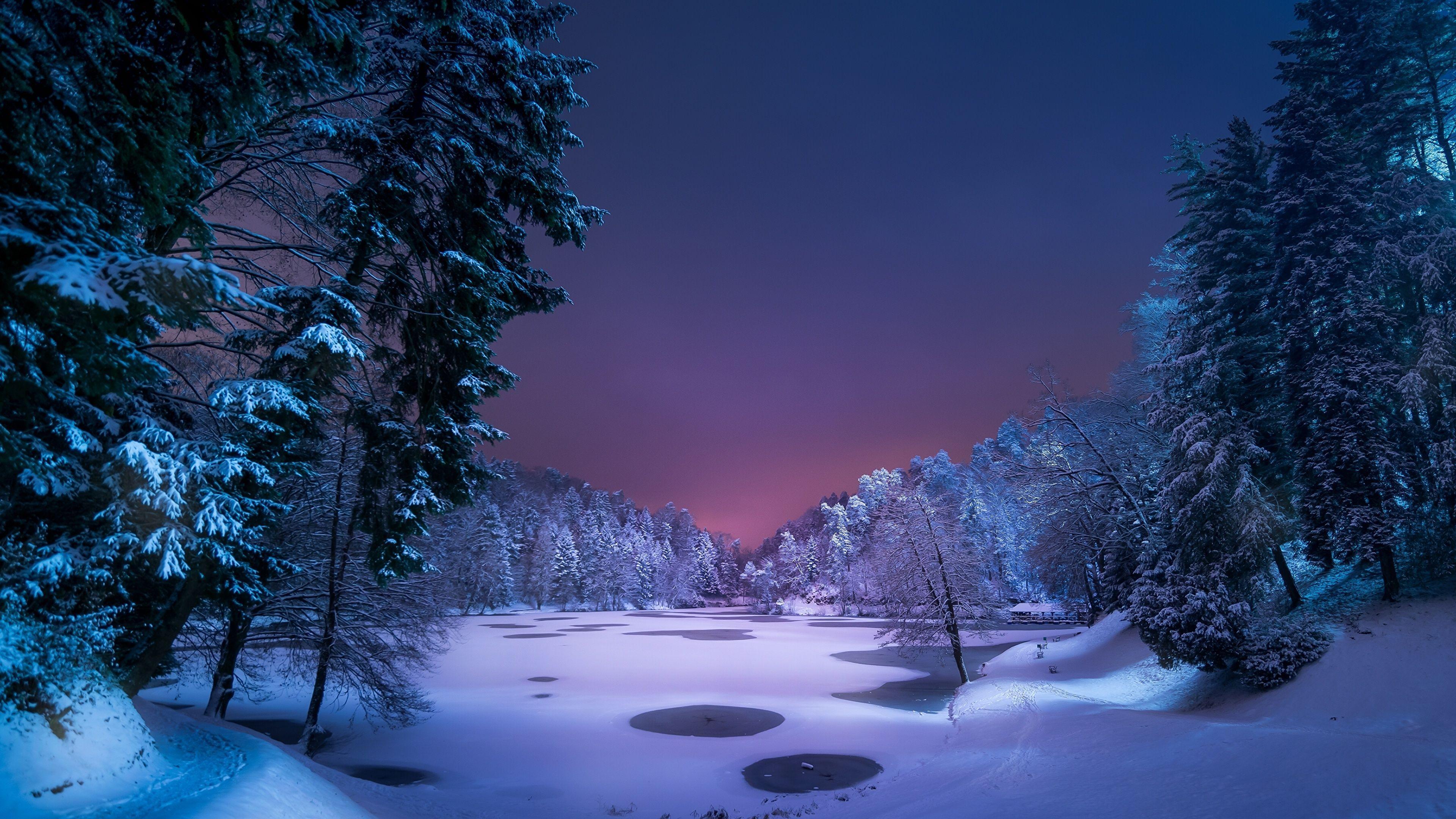 Snowy Forest at Night Wallpapers - Top Free Snowy Forest at Night