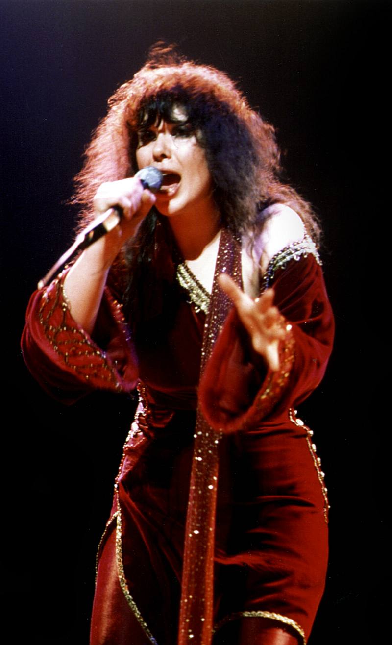 800x1316 Ann Wilson Wallpaper